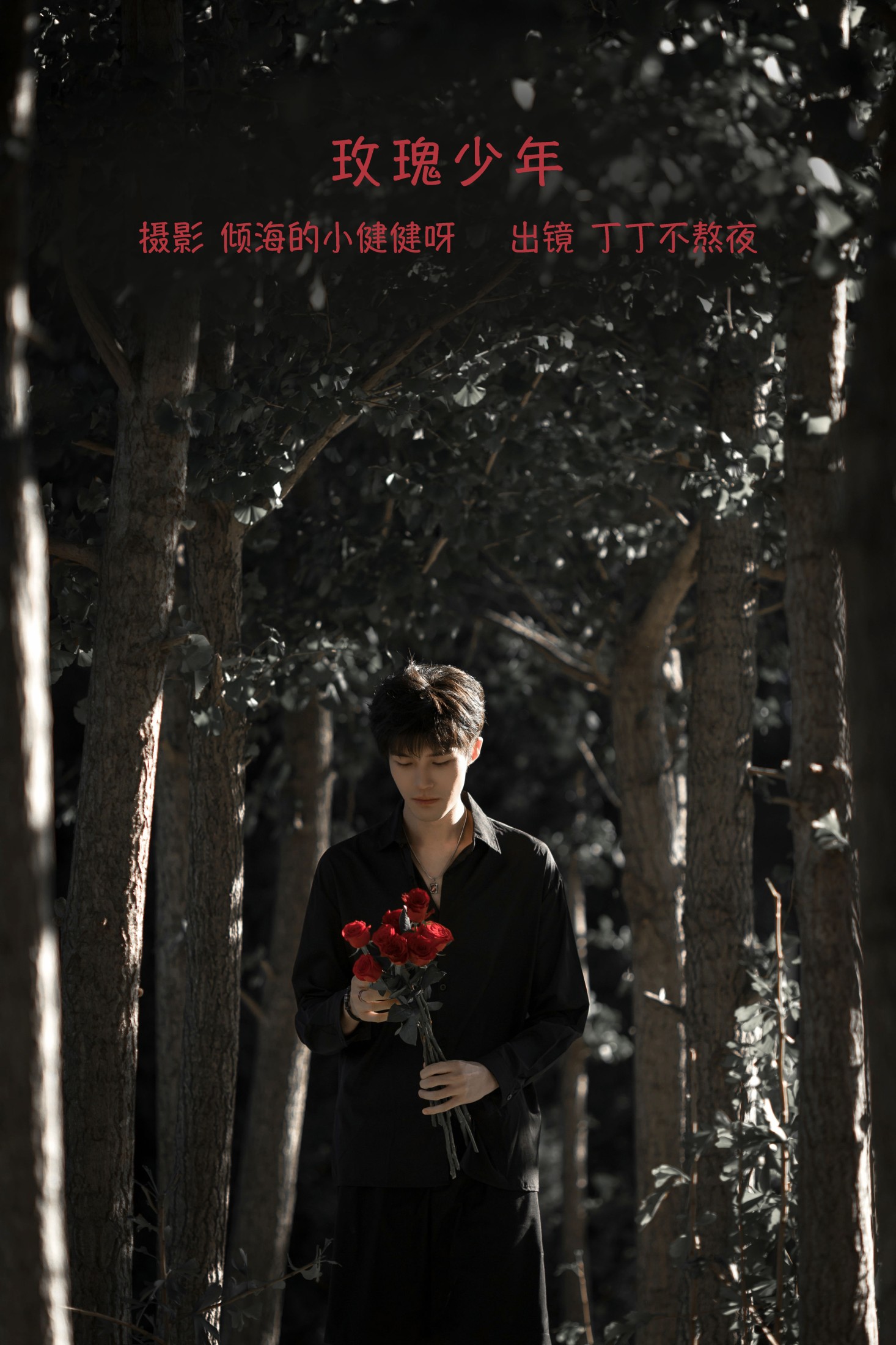 丁丁不刷牙 – 《玫瑰少年》[25P]