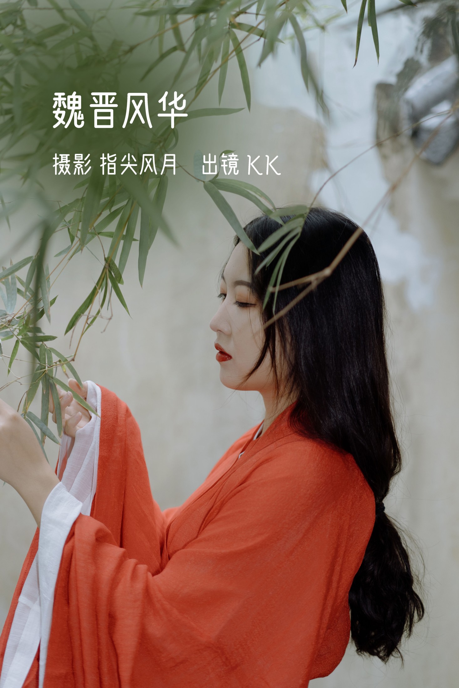 魏晋风华
