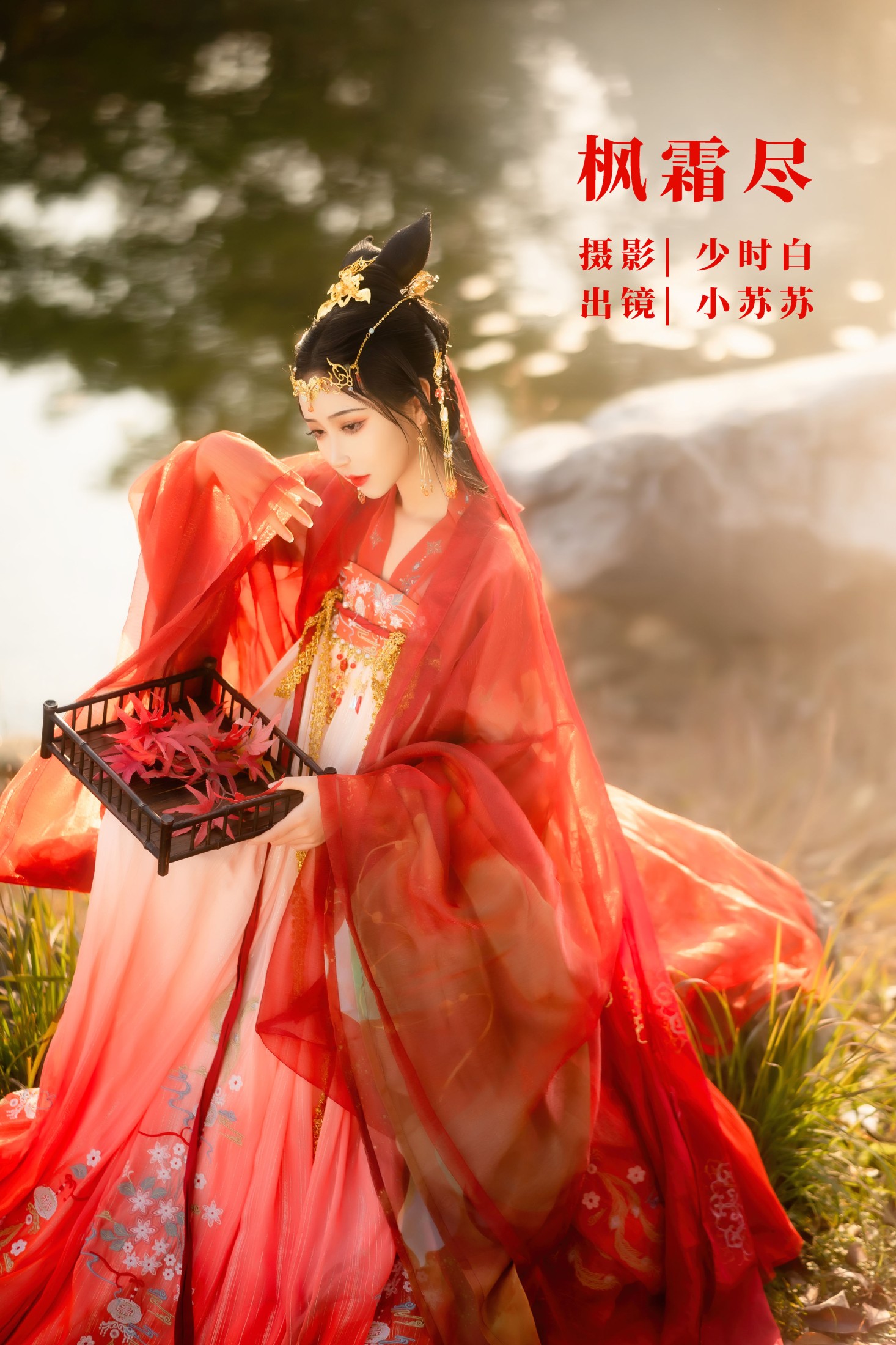枫霜尽