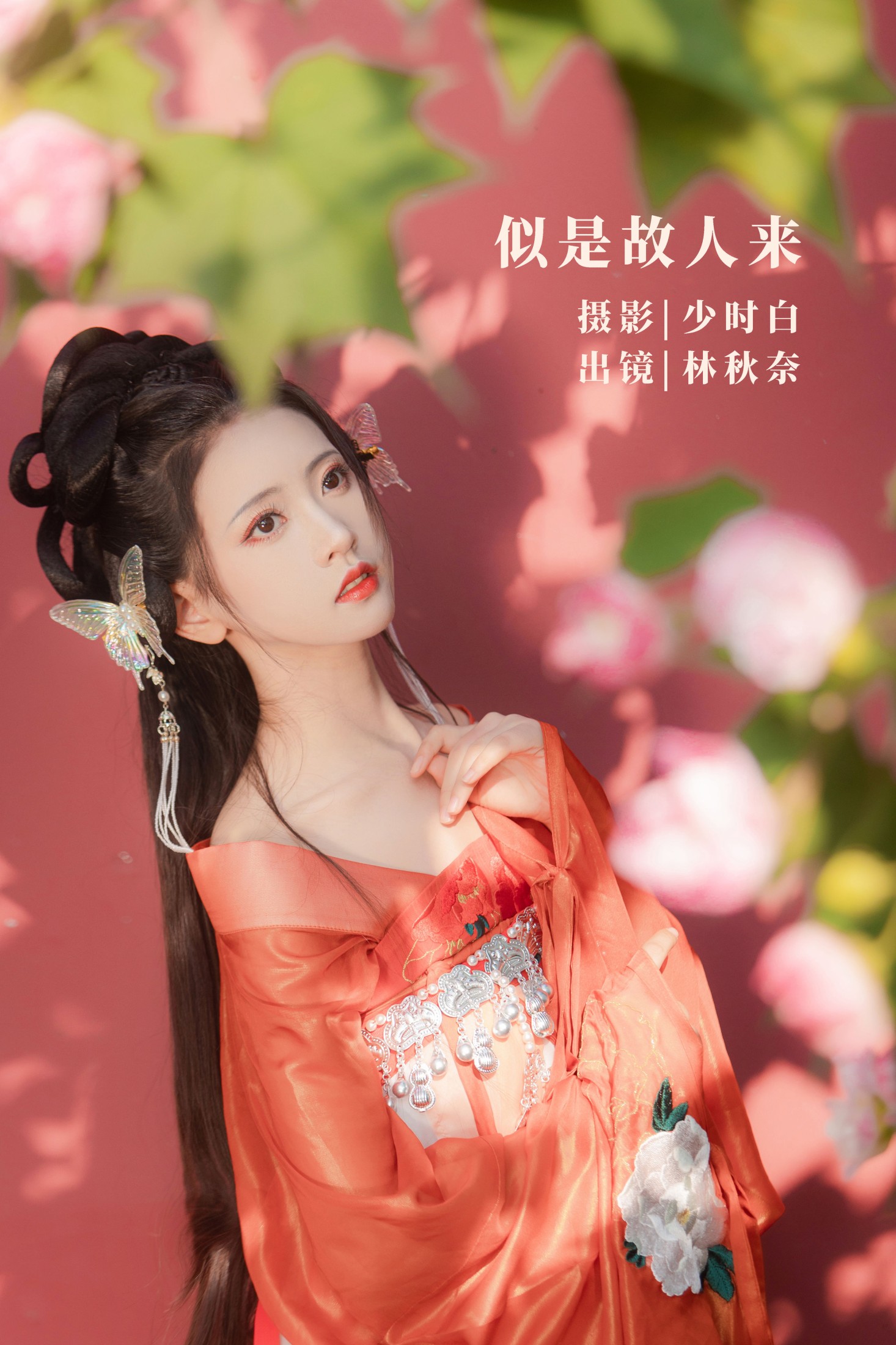 似是故人来