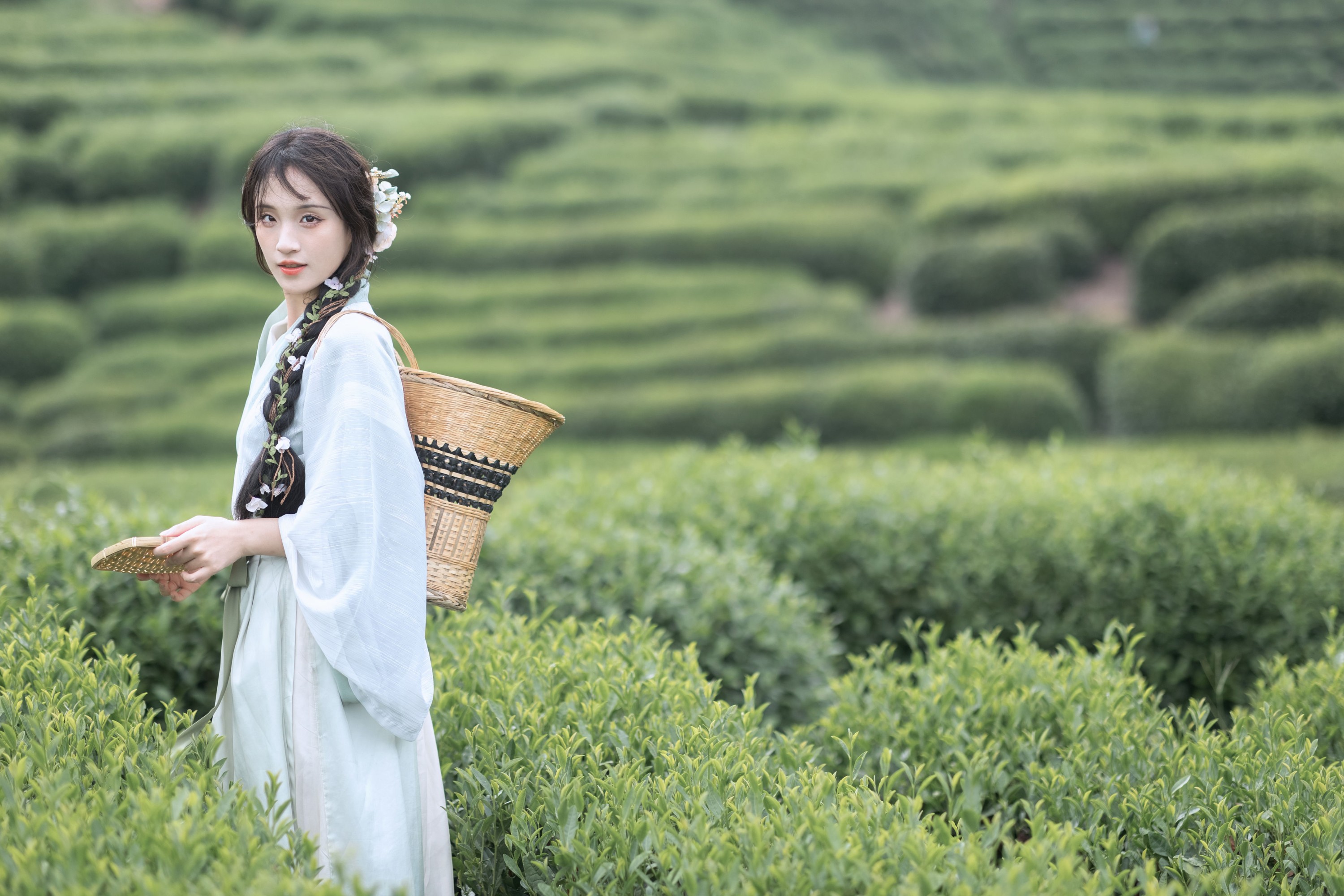 方莛玉 – 《采茶纪》[54P]