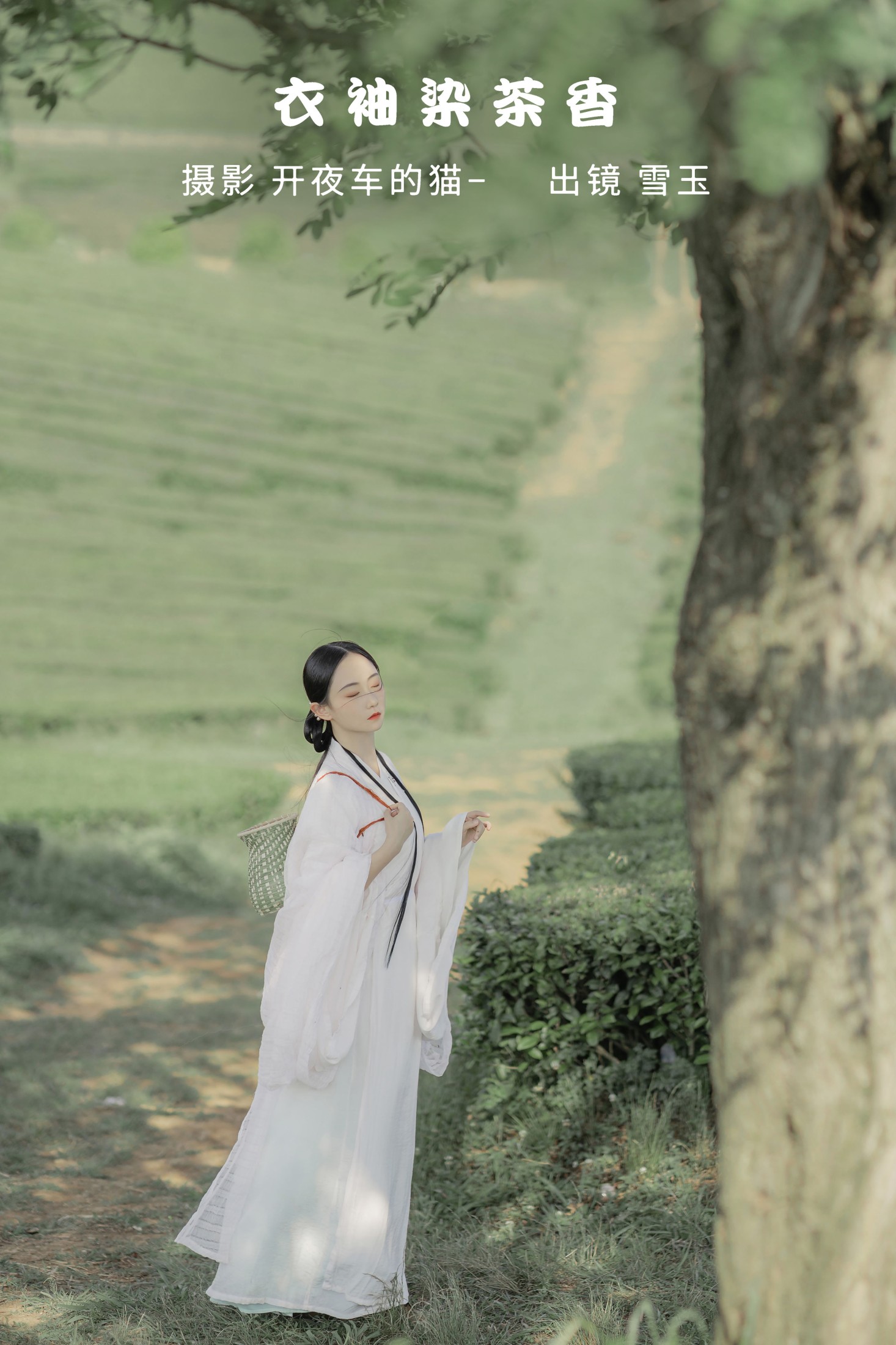 衣袖染茶香