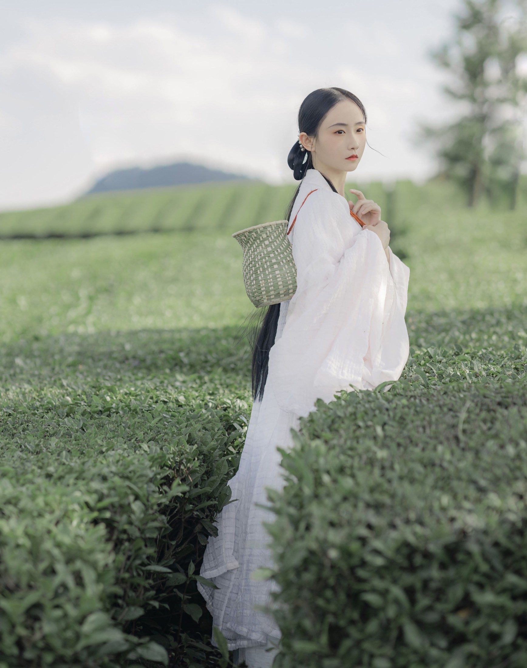 灿暖暖暖 – 《衣袖染茶香》[20P]