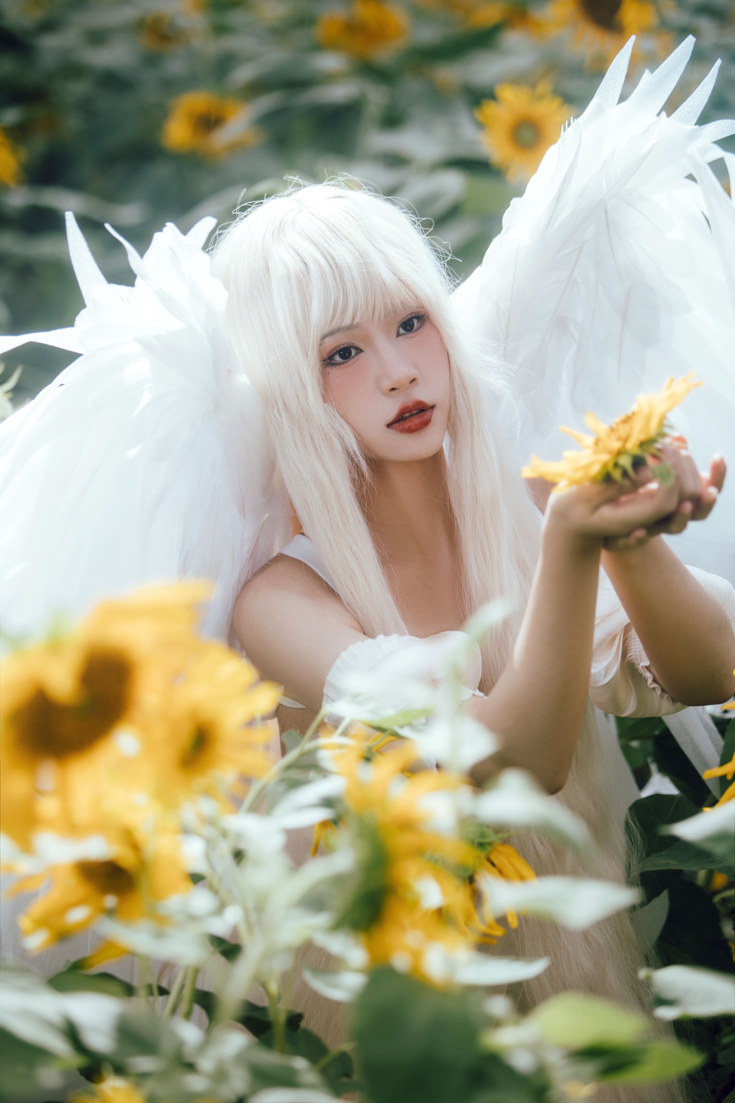 双翮 – 《孤鸟》[21P]