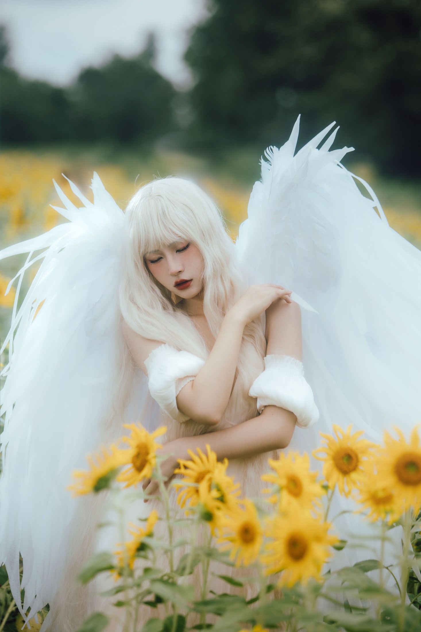 双翮 – 《孤鸟》[21P]