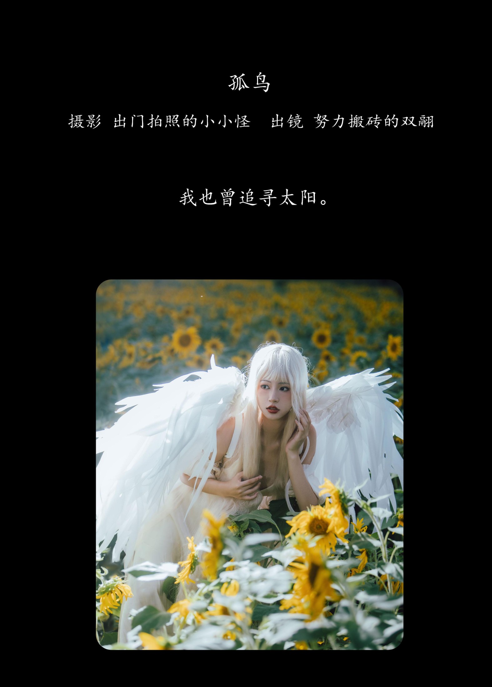 双翮 – 《孤鸟》[21P]