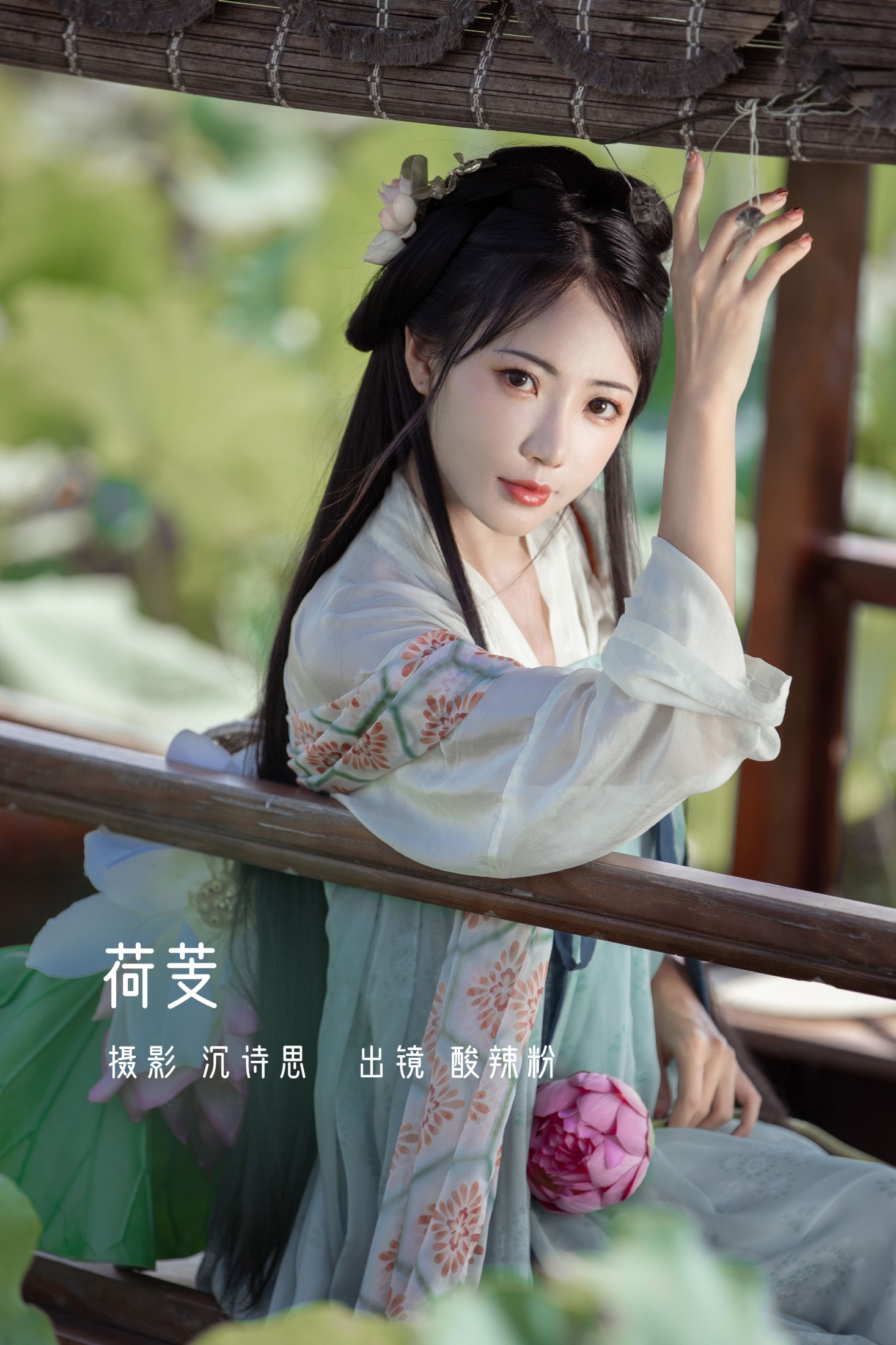 荷芰