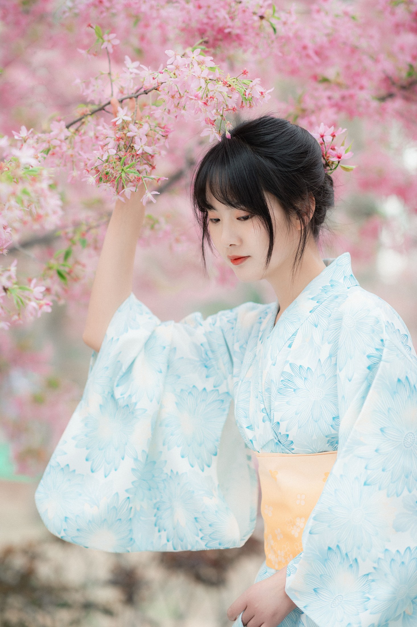 爱拍照的梅梅 – 《樱花树下》[23P]