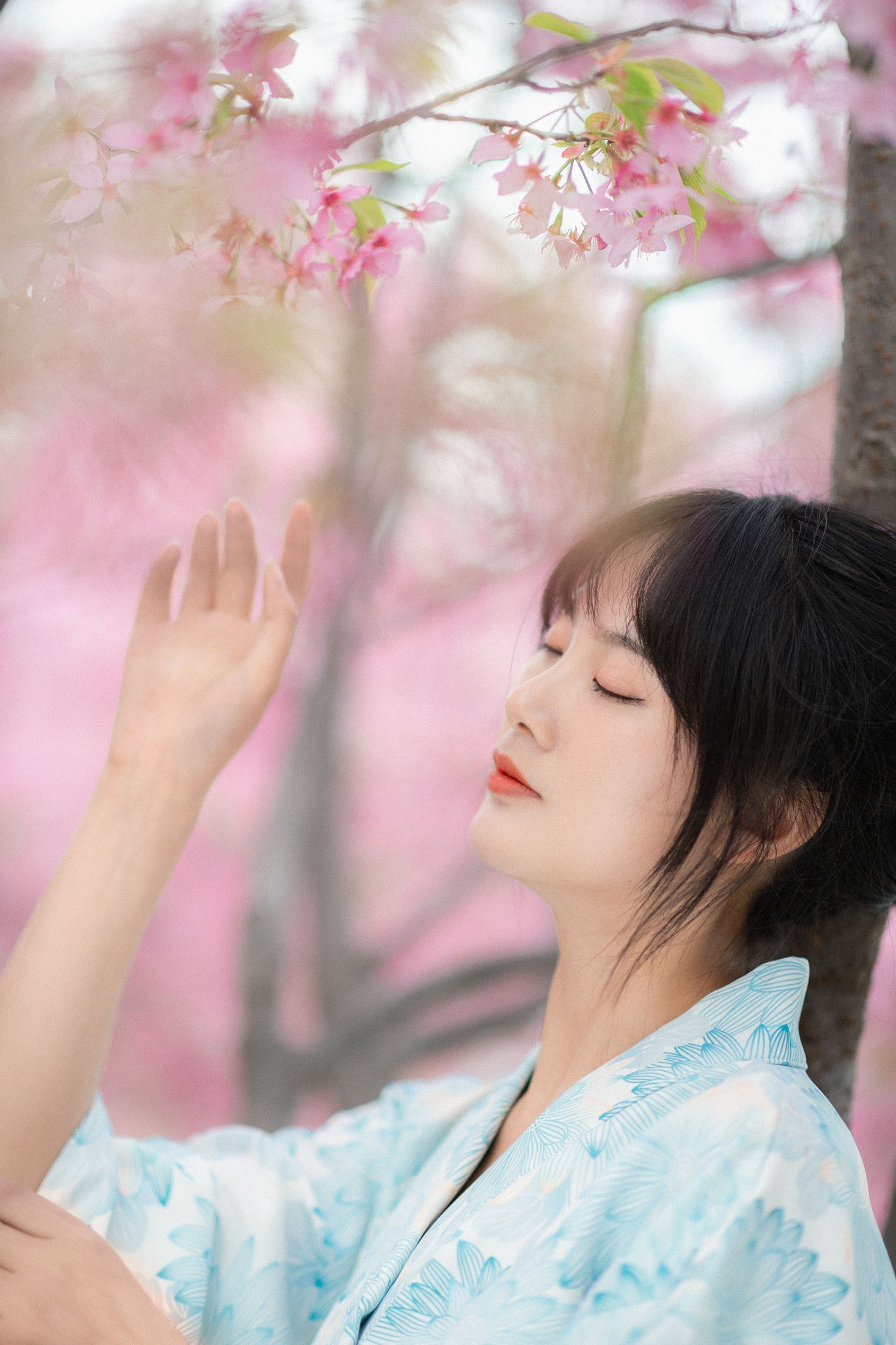 爱拍照的梅梅 – 《樱花树下》[23P]