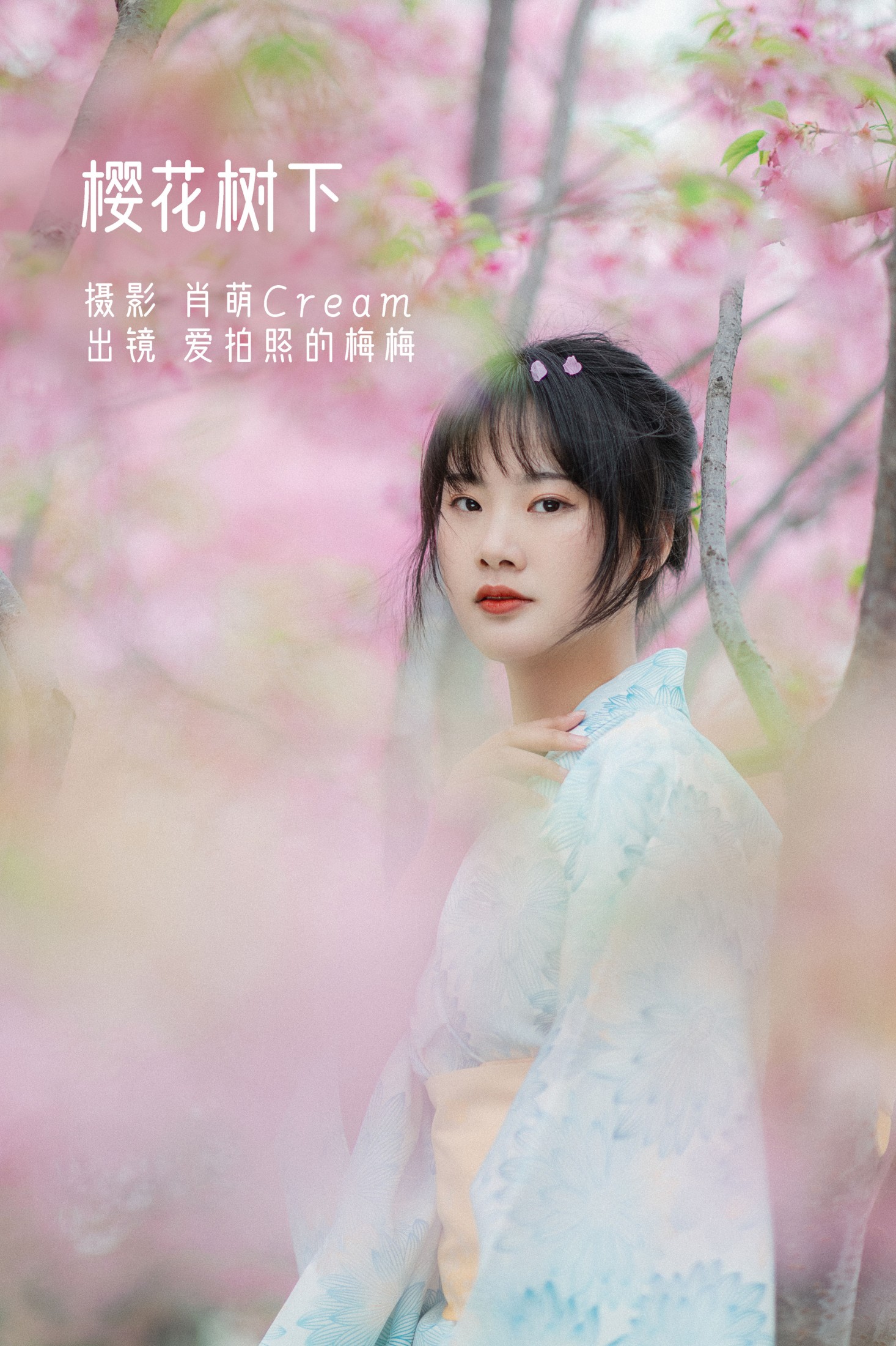 樱花树下