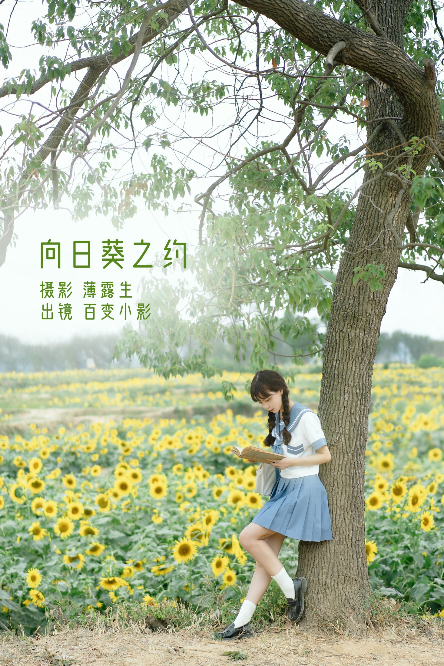 向日葵之约