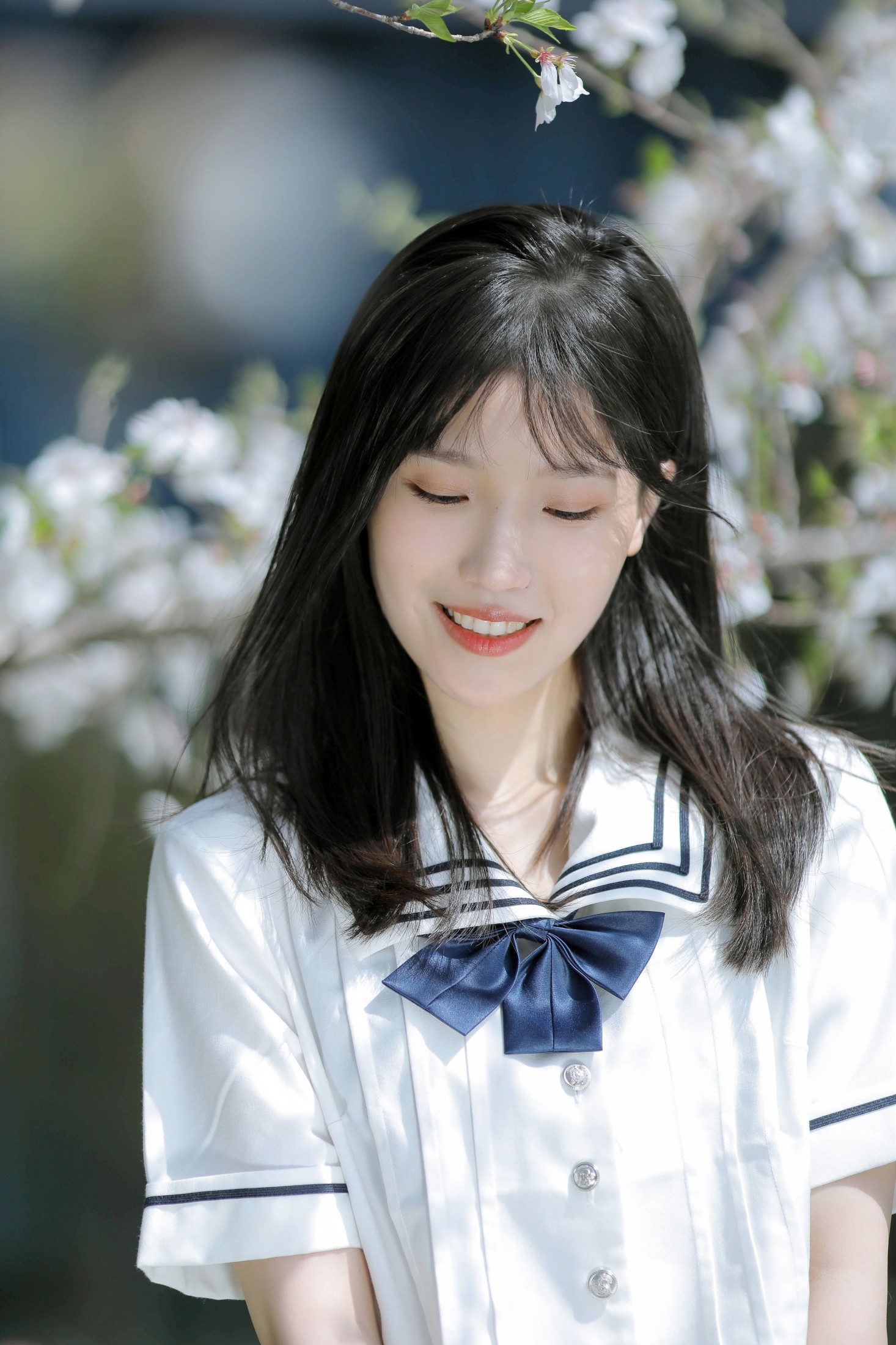 echo – 《春日樱花》[29P]