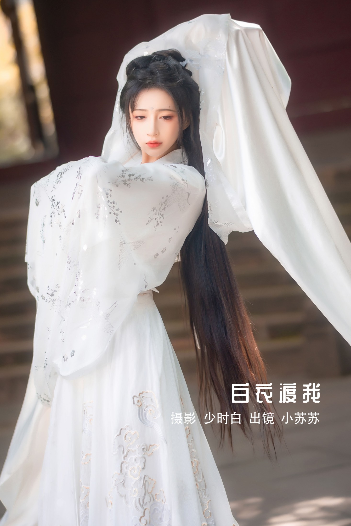白衣渡我