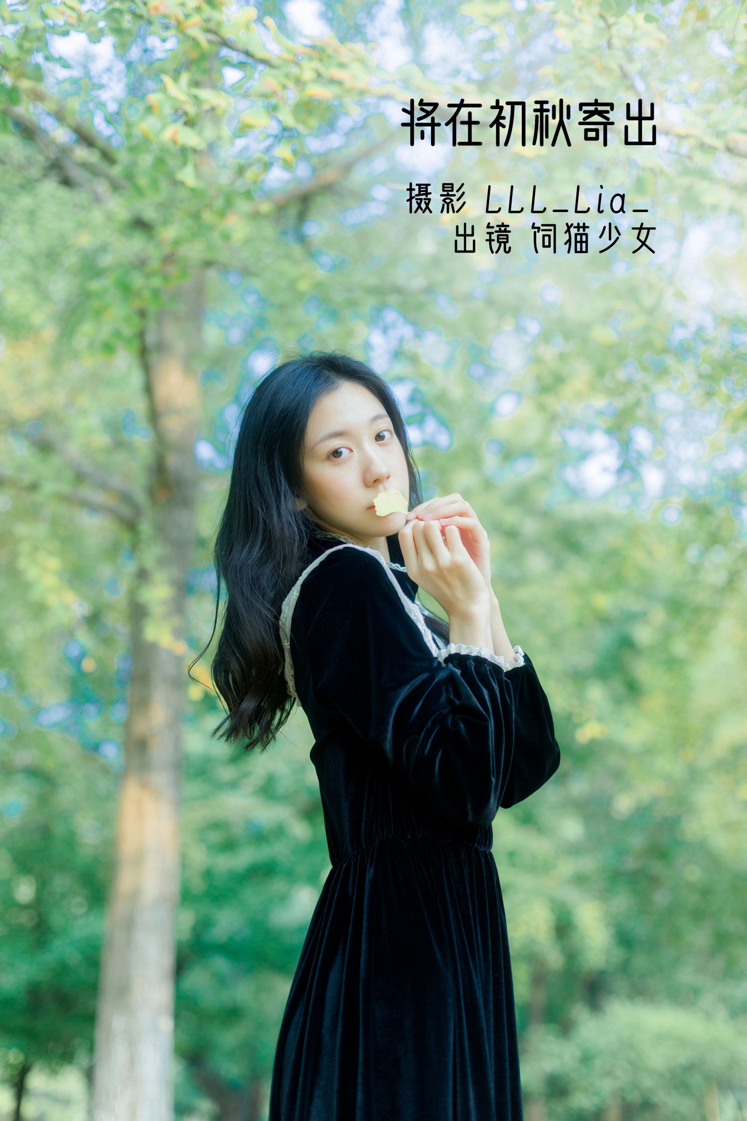 将在初秋寄出