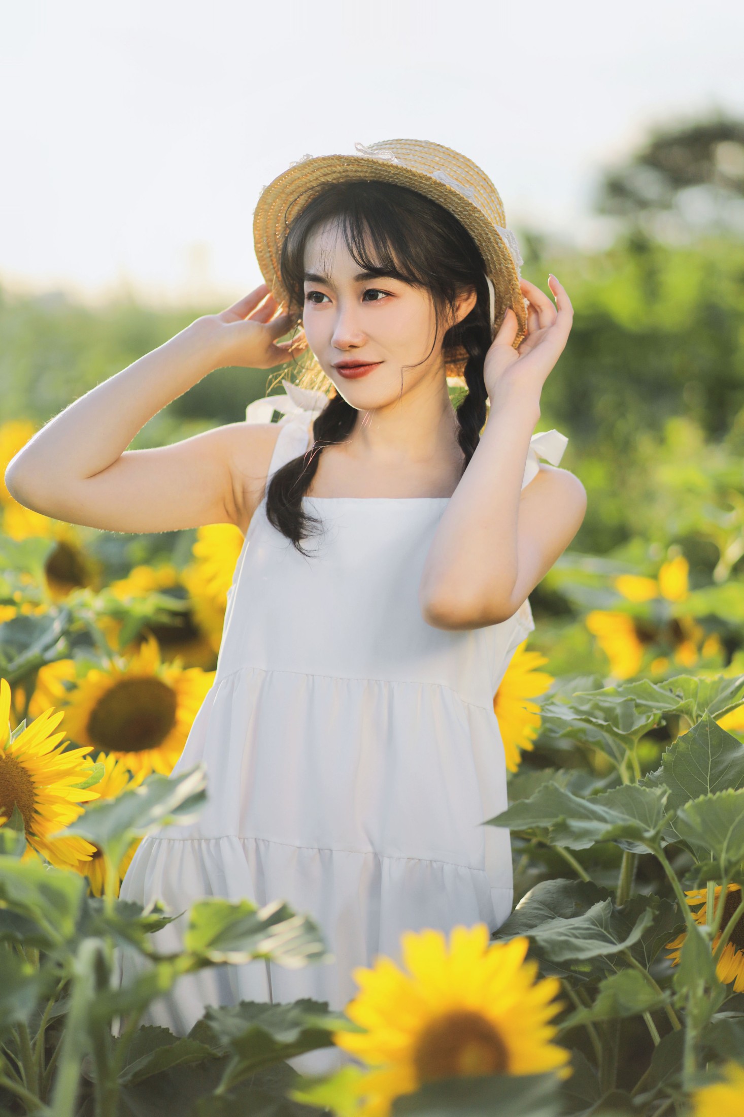 迟白 – 《向阳之花》[36P]