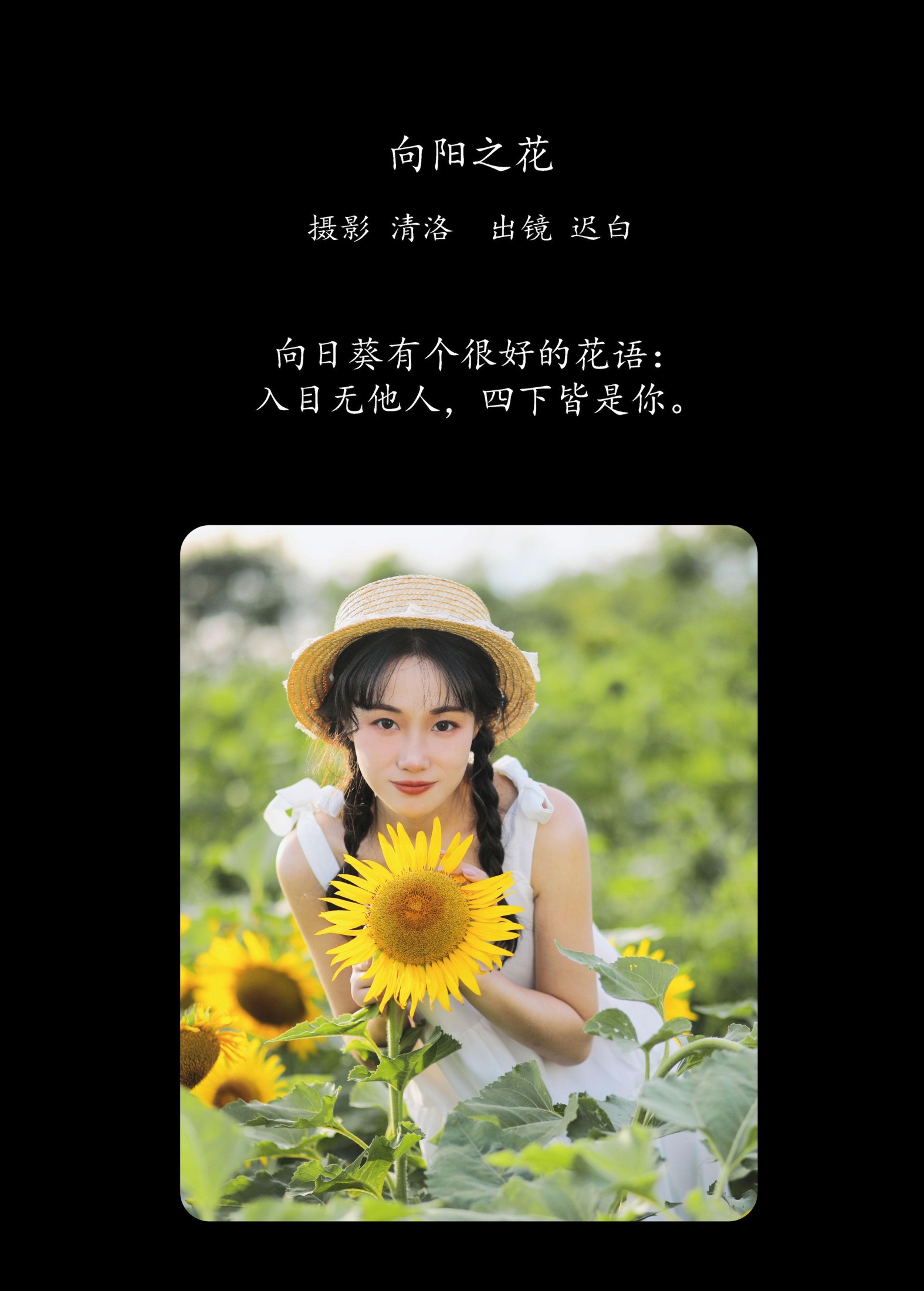 迟白 – 《向阳之花》[36P]