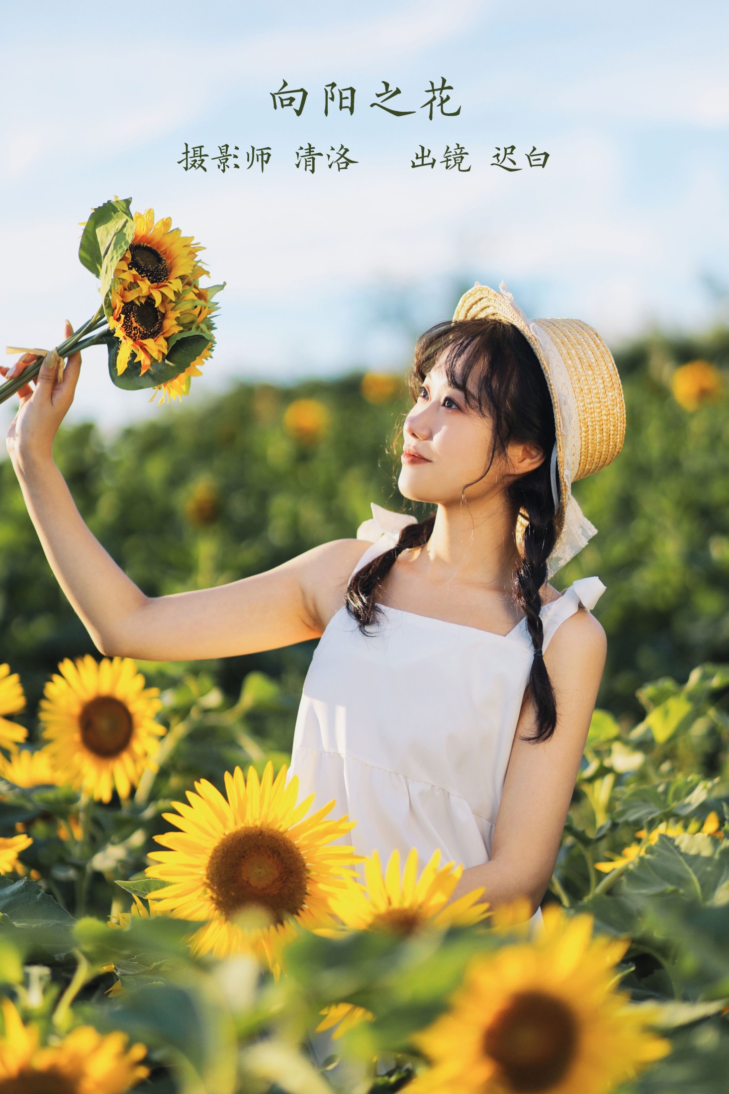 向阳之花