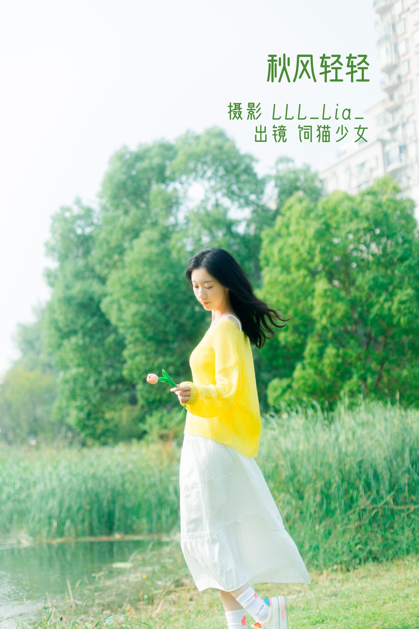 秋风轻轻