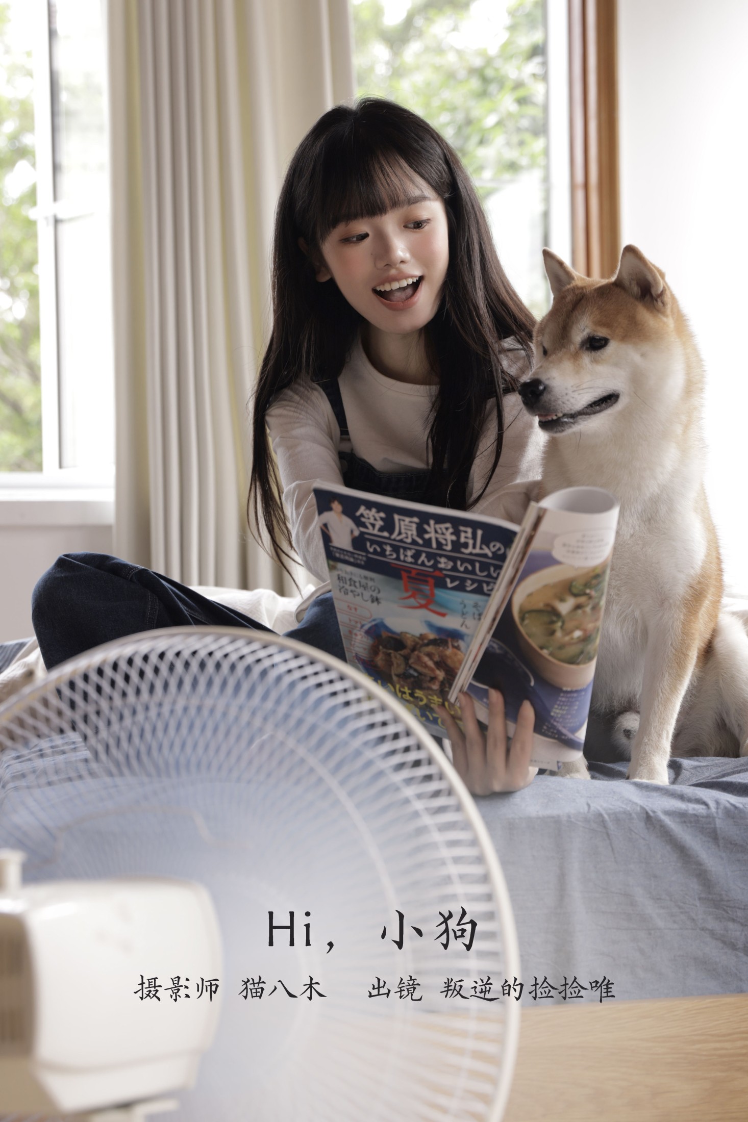 Hi,小狗