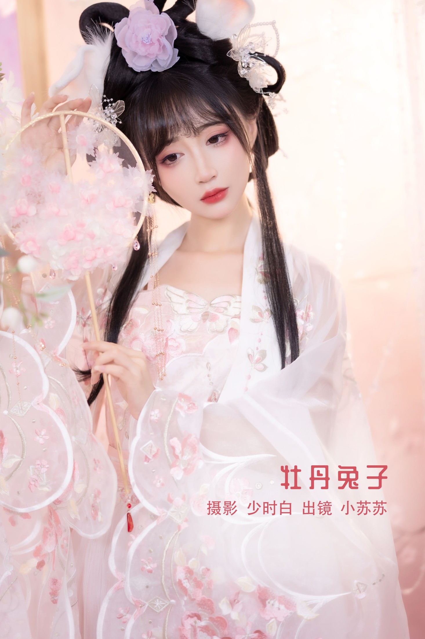 牡丹兔子