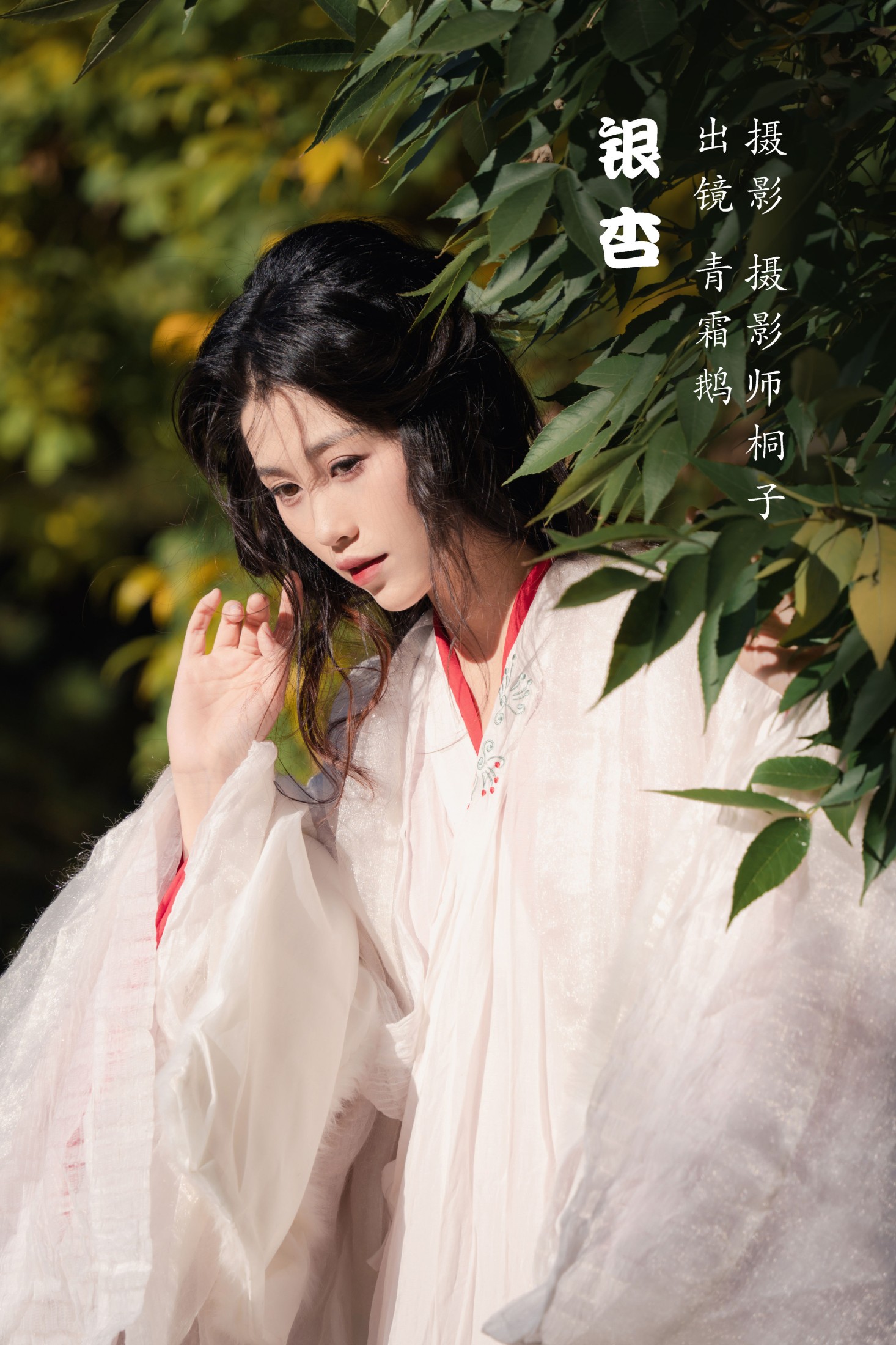 银杏