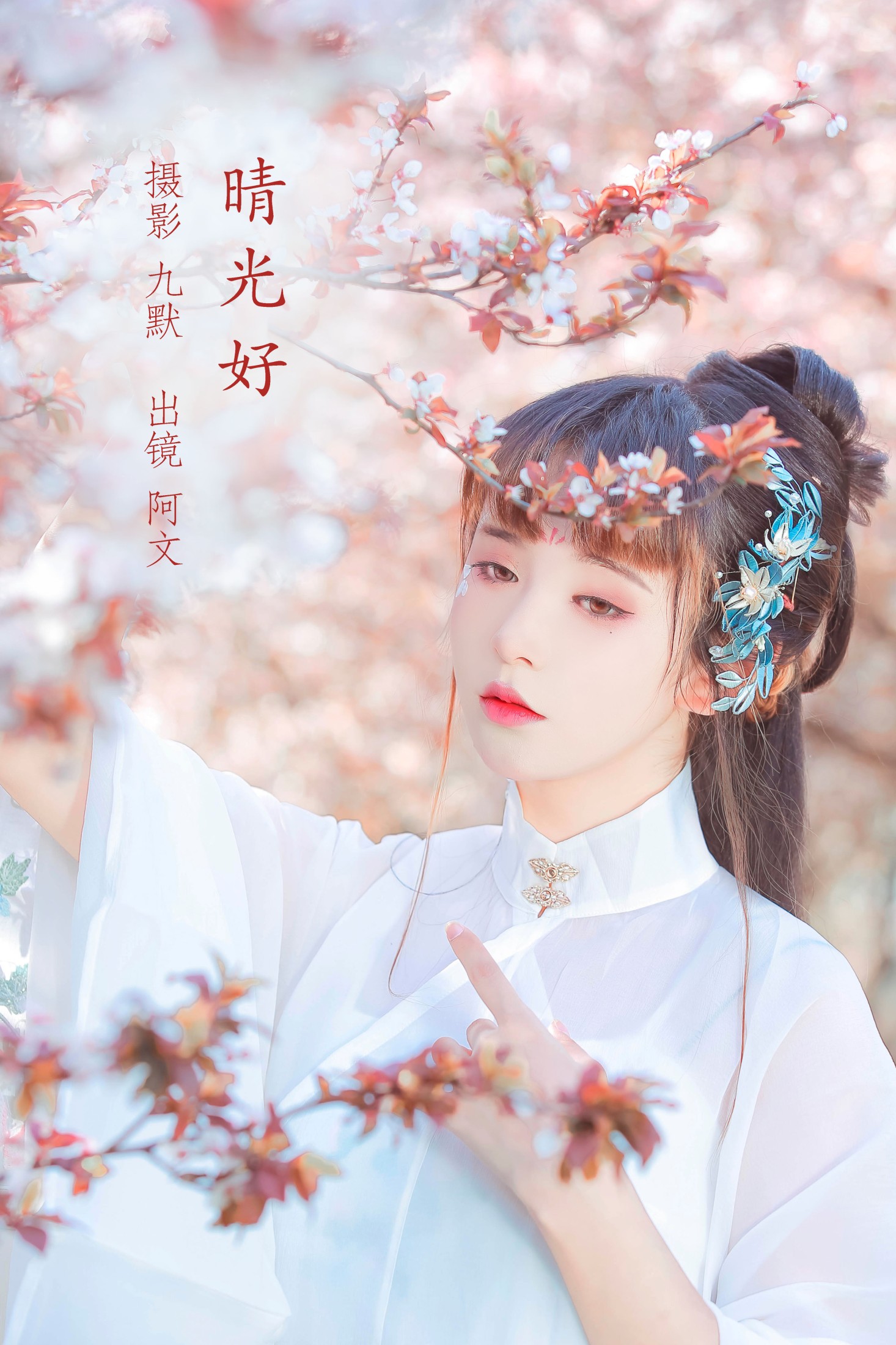 晴光好