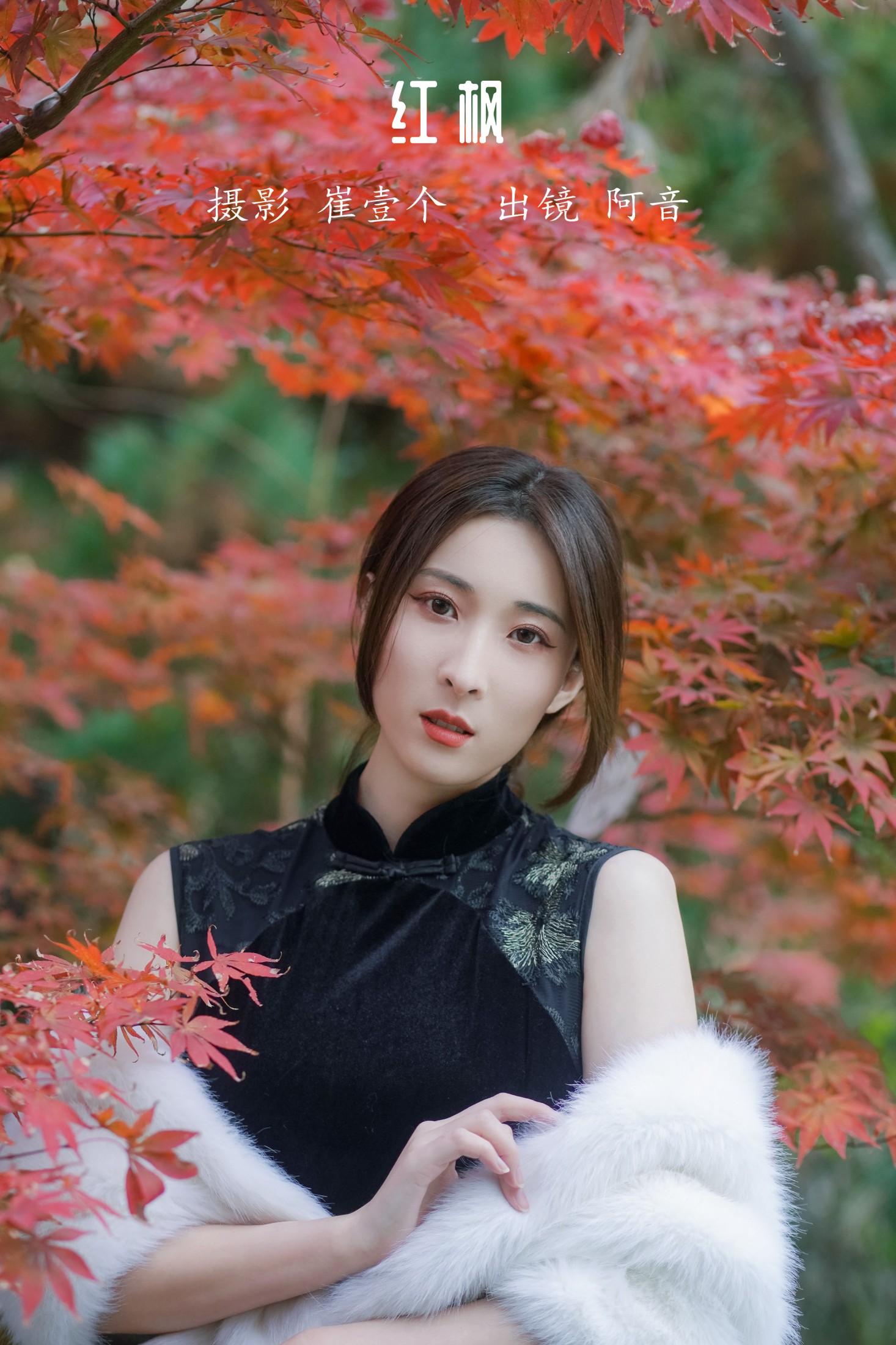 红枫