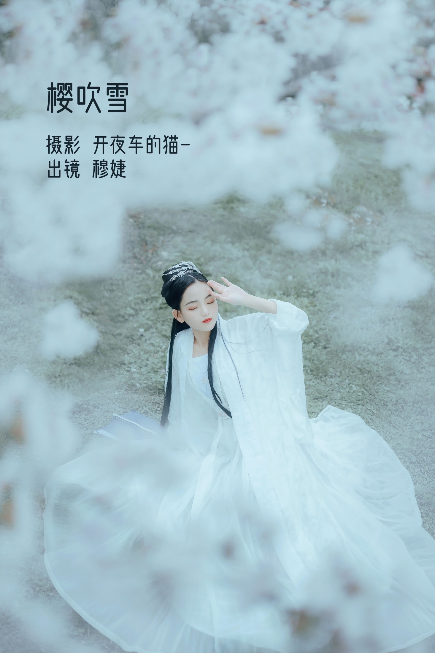 樱吹雪