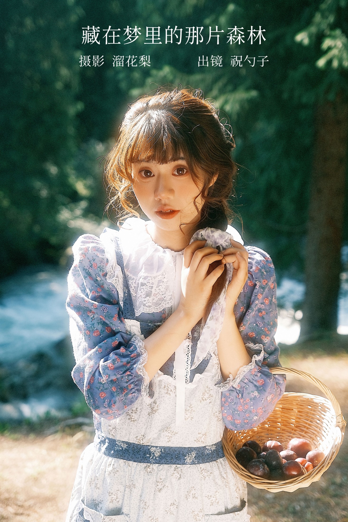 藏在梦里的那片森林
