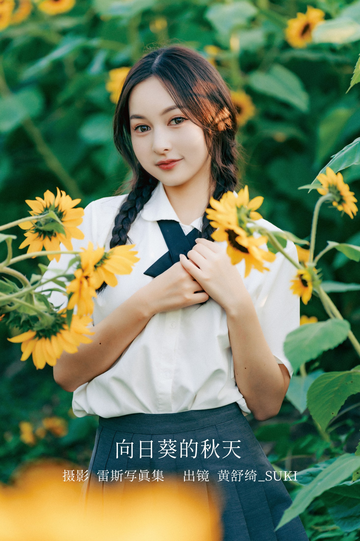 向日葵的秋天