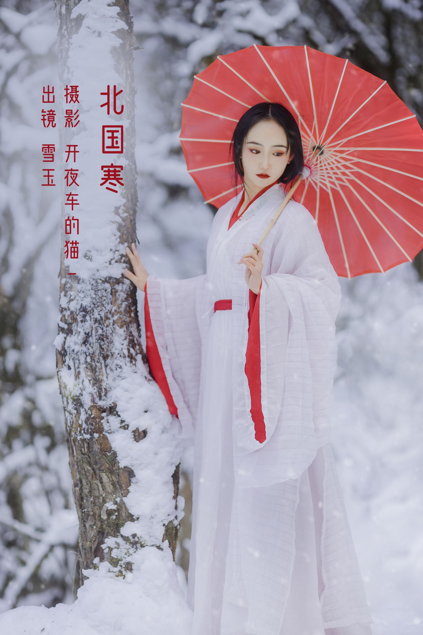 北国寒