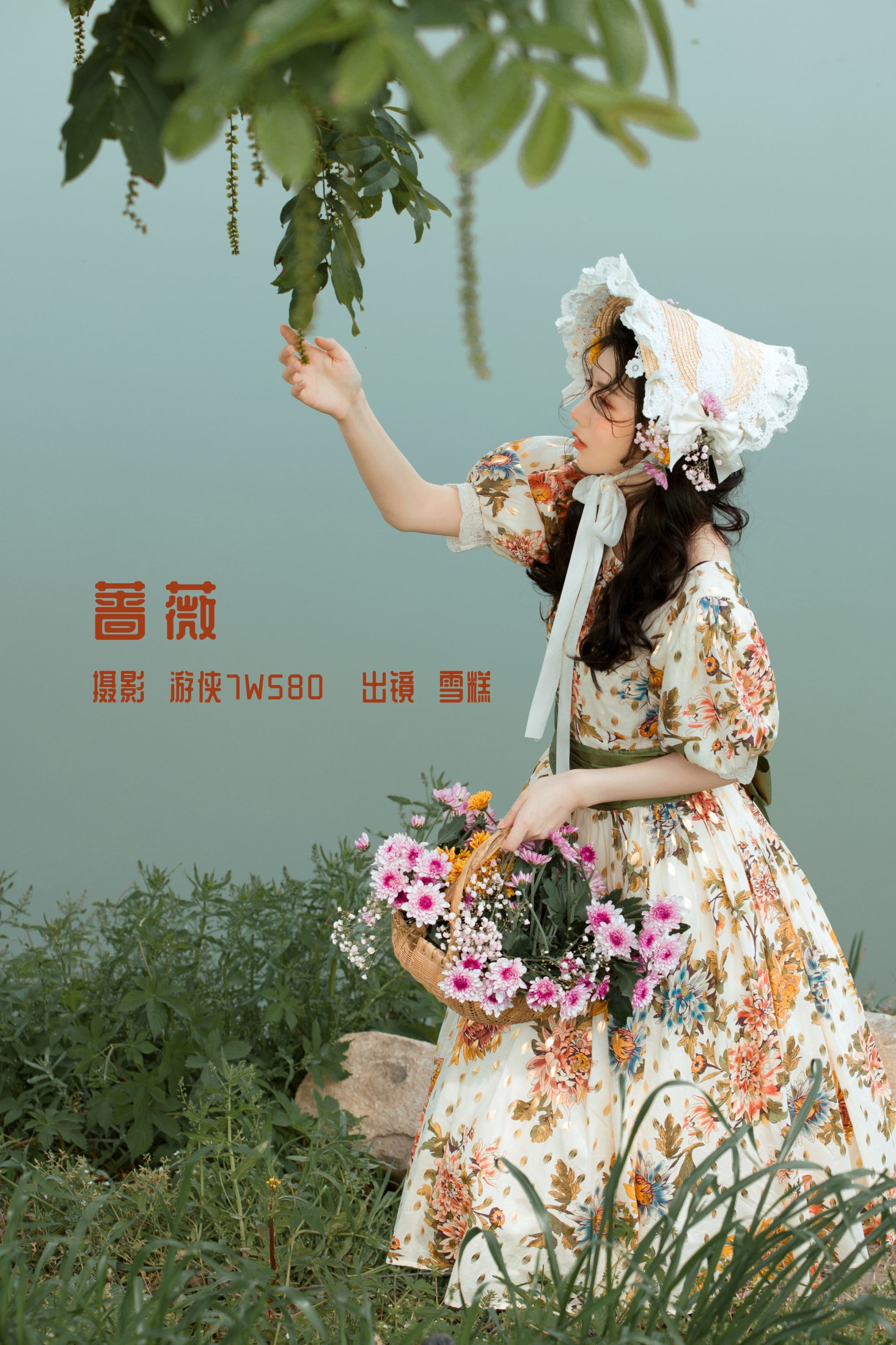 蔷薇
