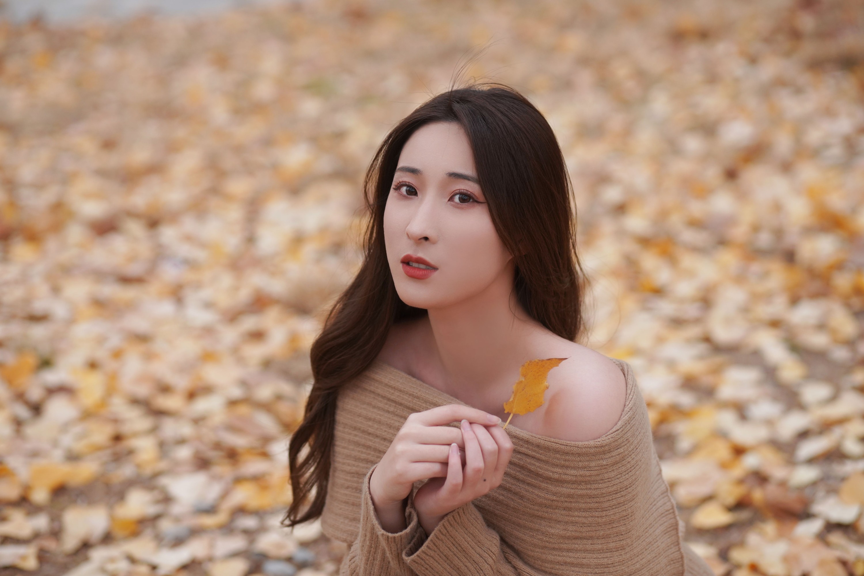 阿音 – 《叶落知秋》[26P]