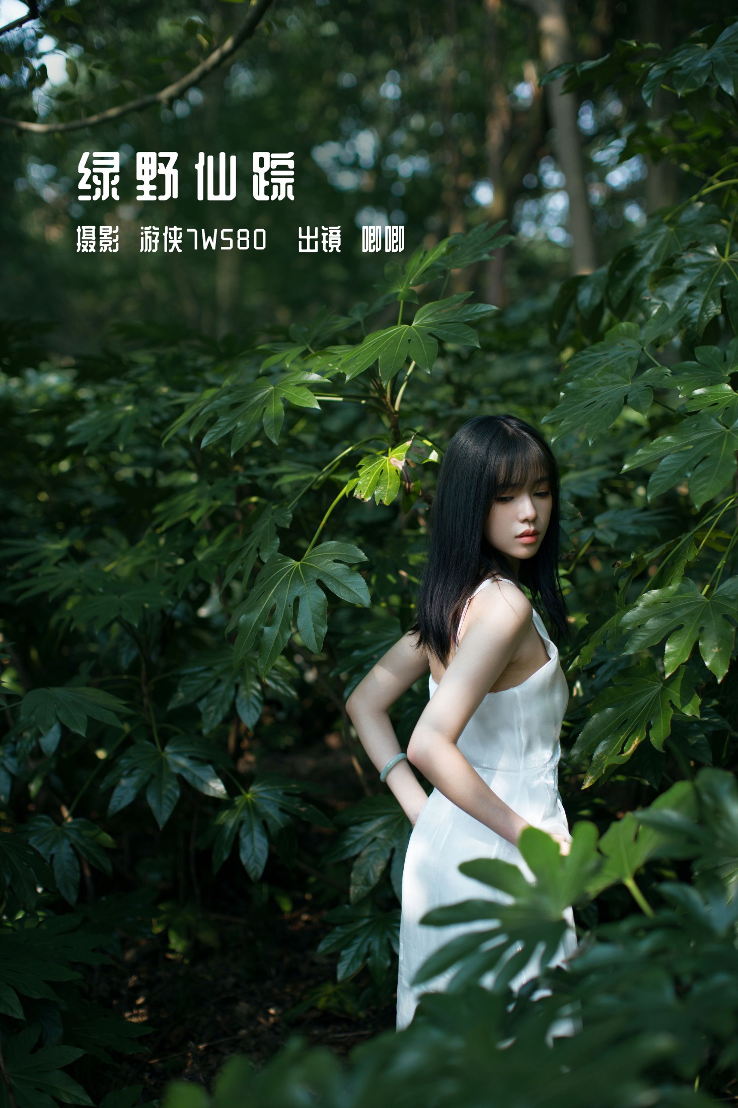 绿野仙踪