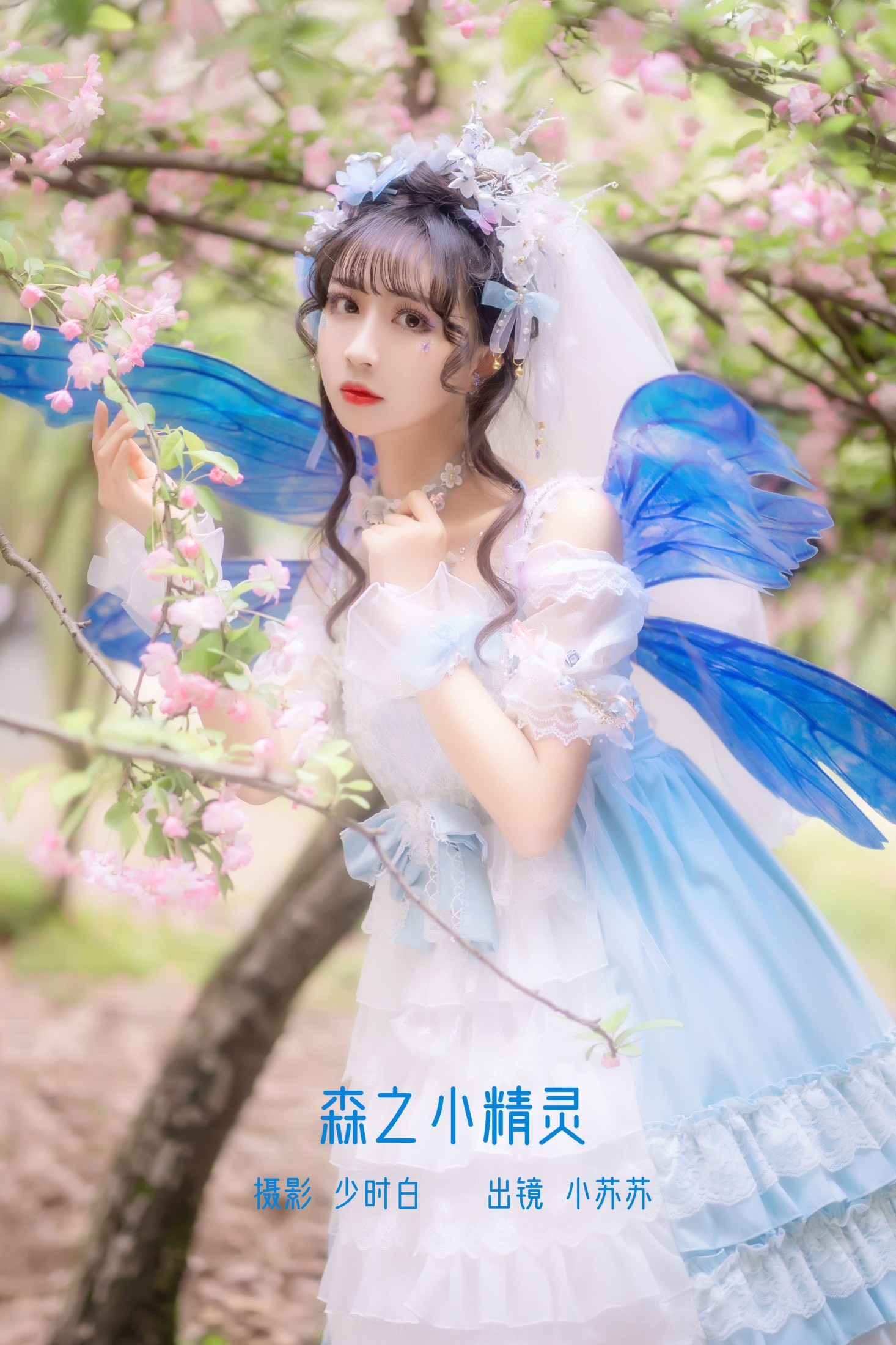 森之小精灵