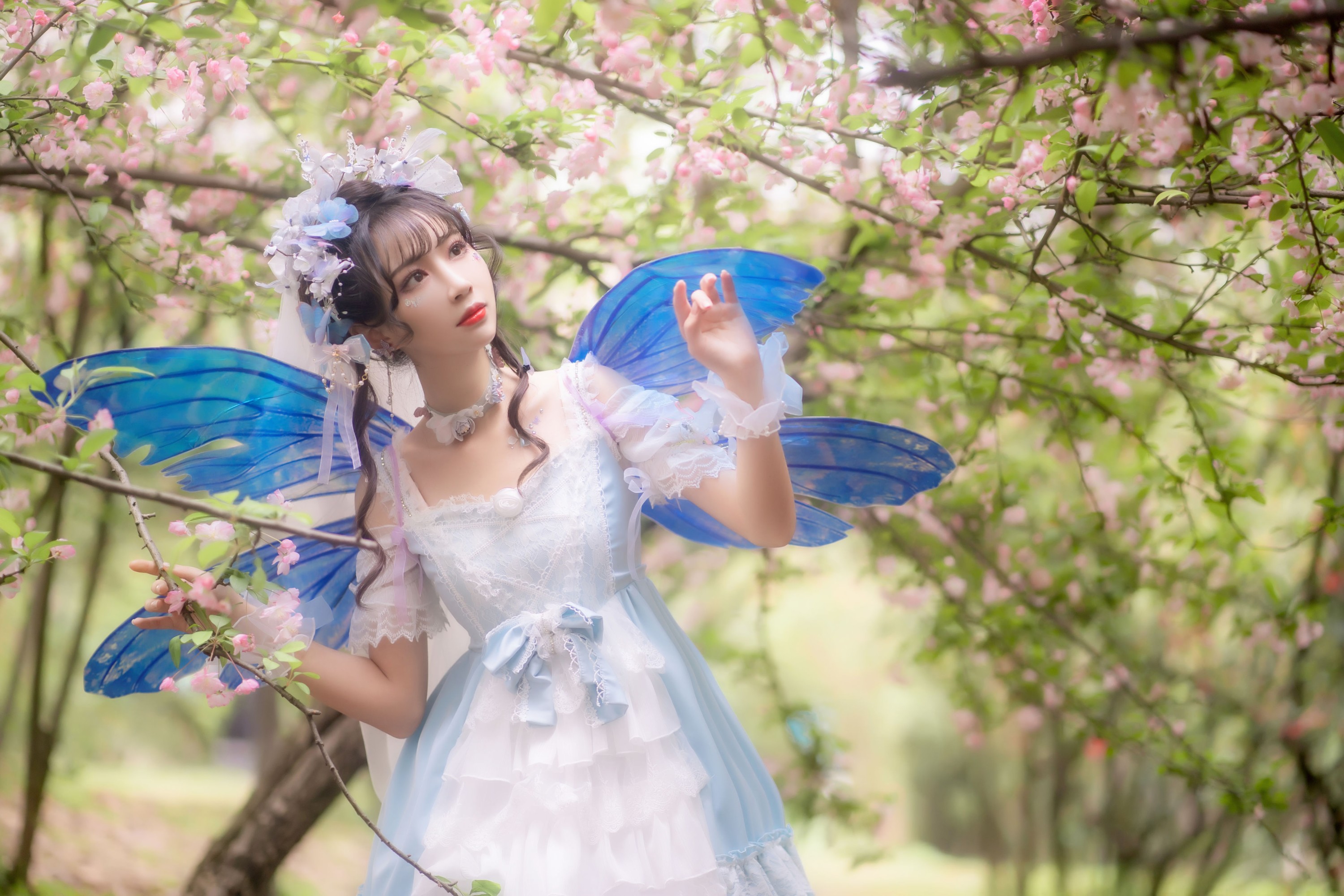 绮罗生的小苏苏 – 《森之小精灵》[28P]