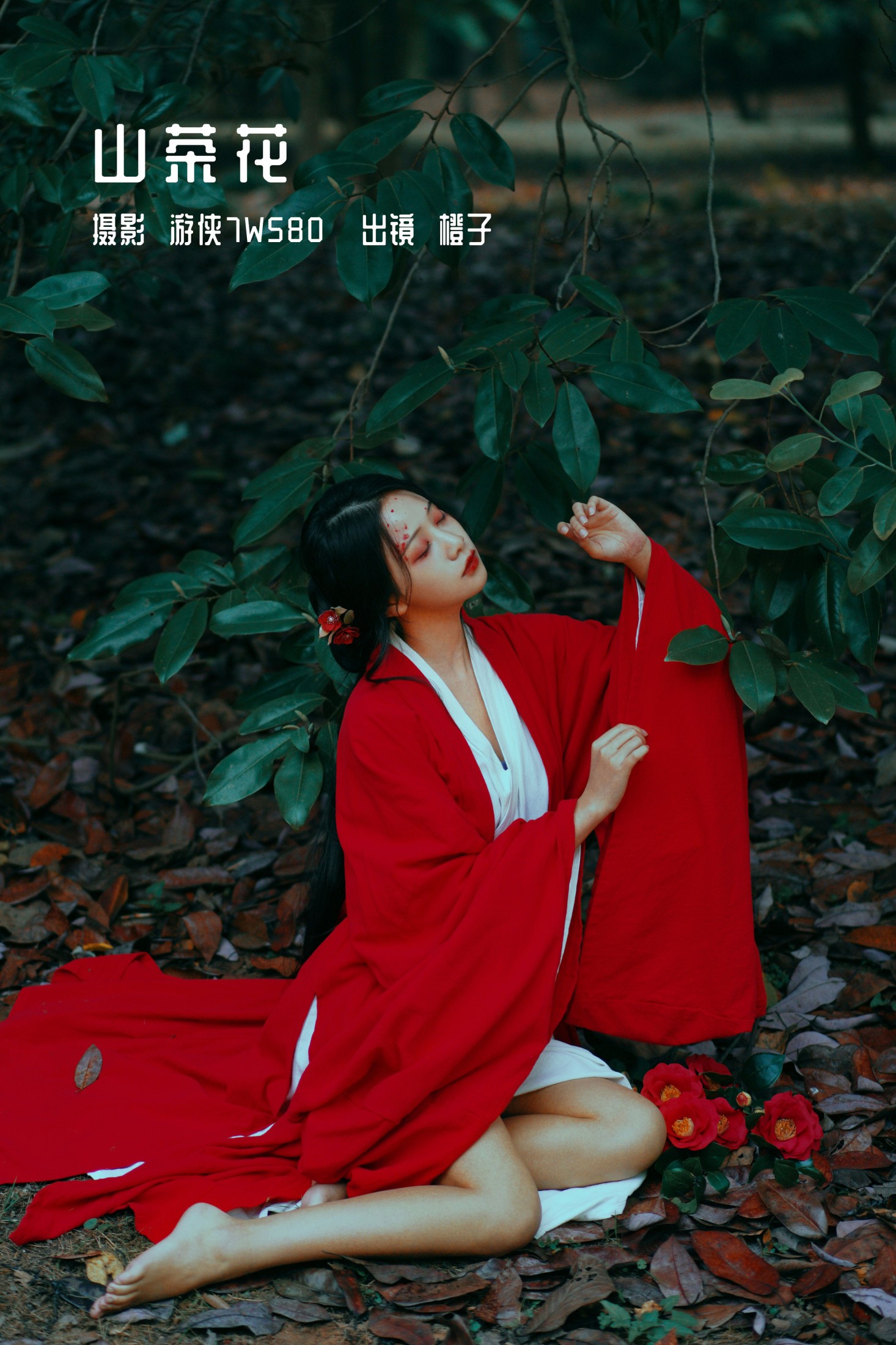 山茶花
