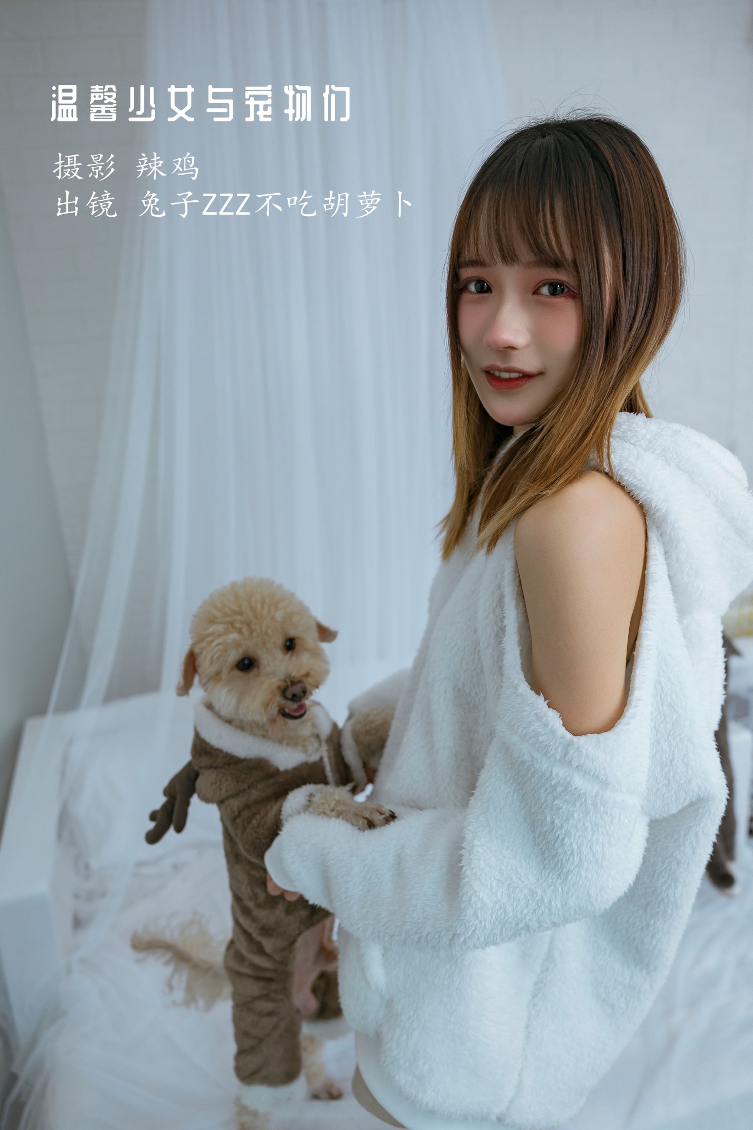 温馨少女与宠物们