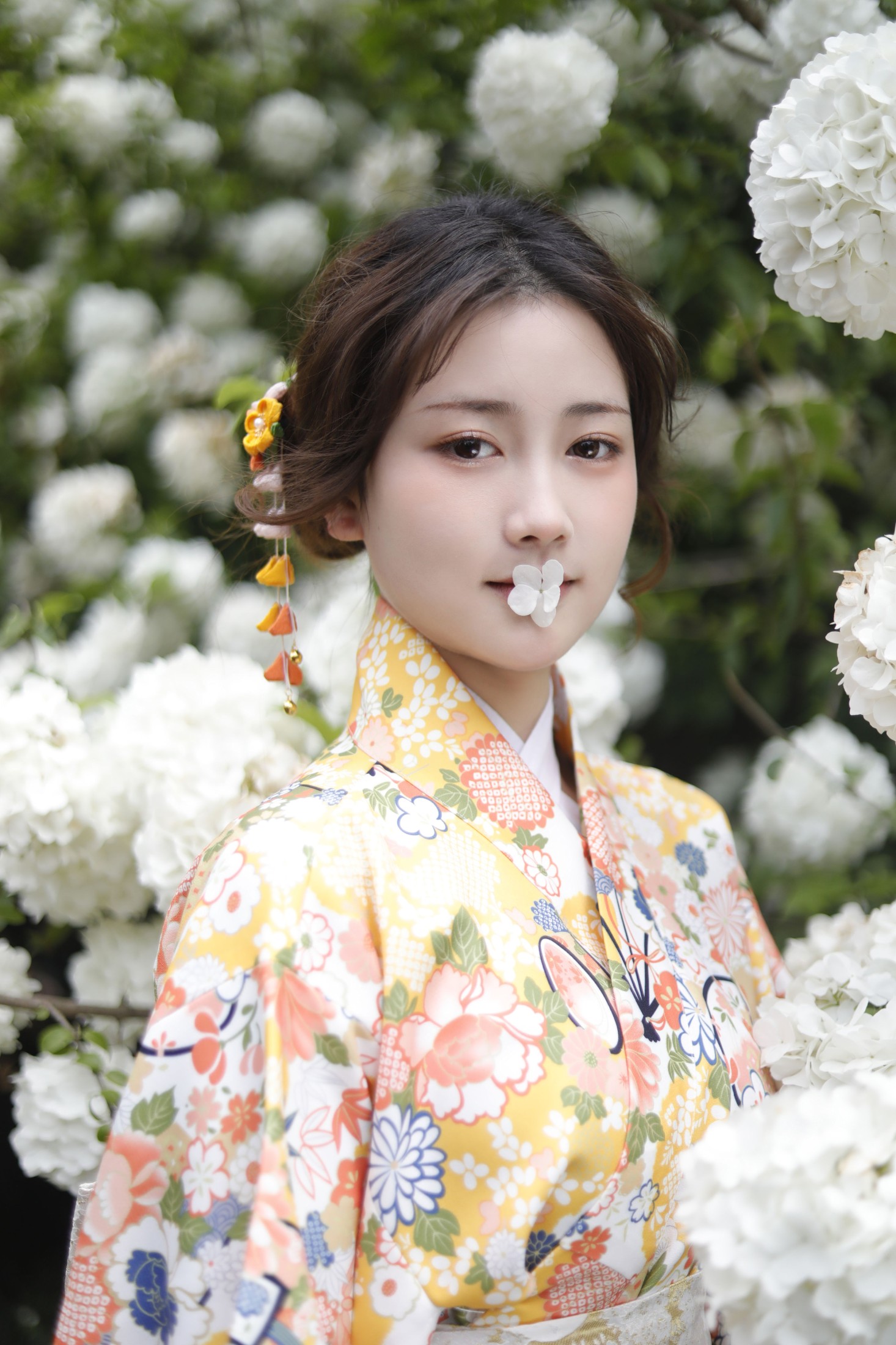 3F-WX – 《绣球花少女》[24P]
