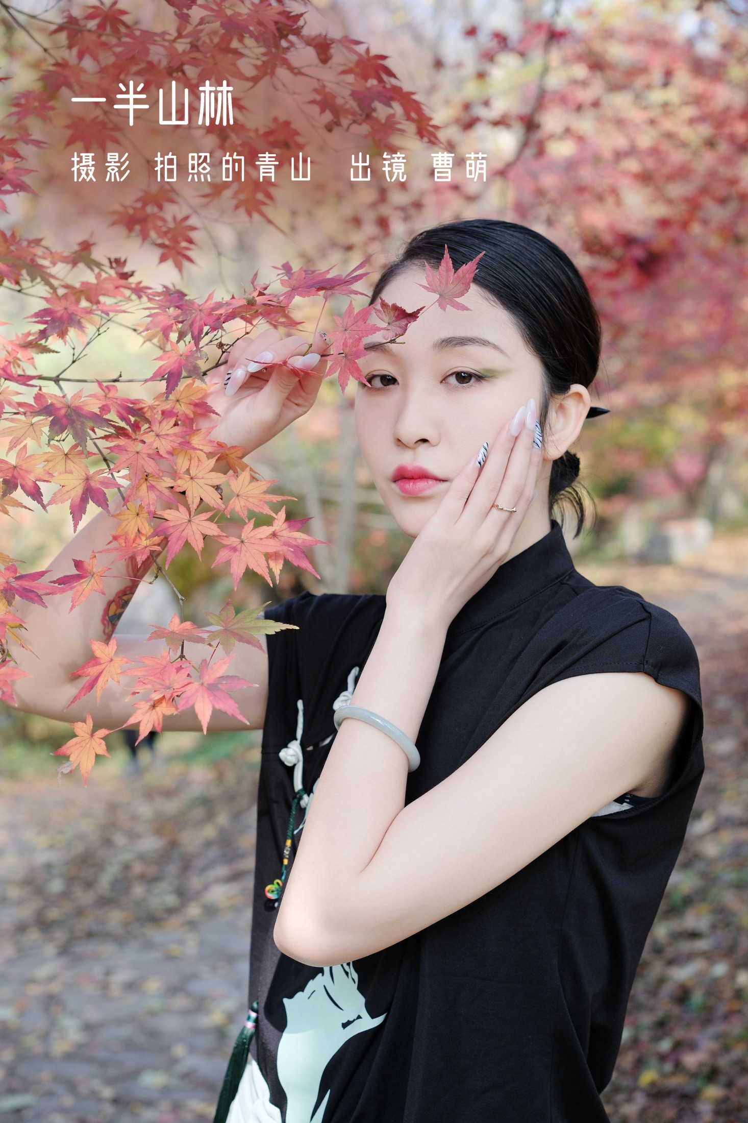 一半山林