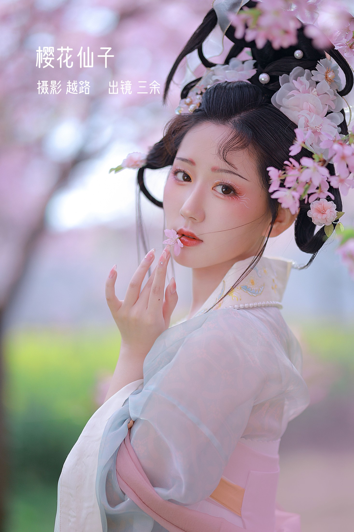 樱花仙子