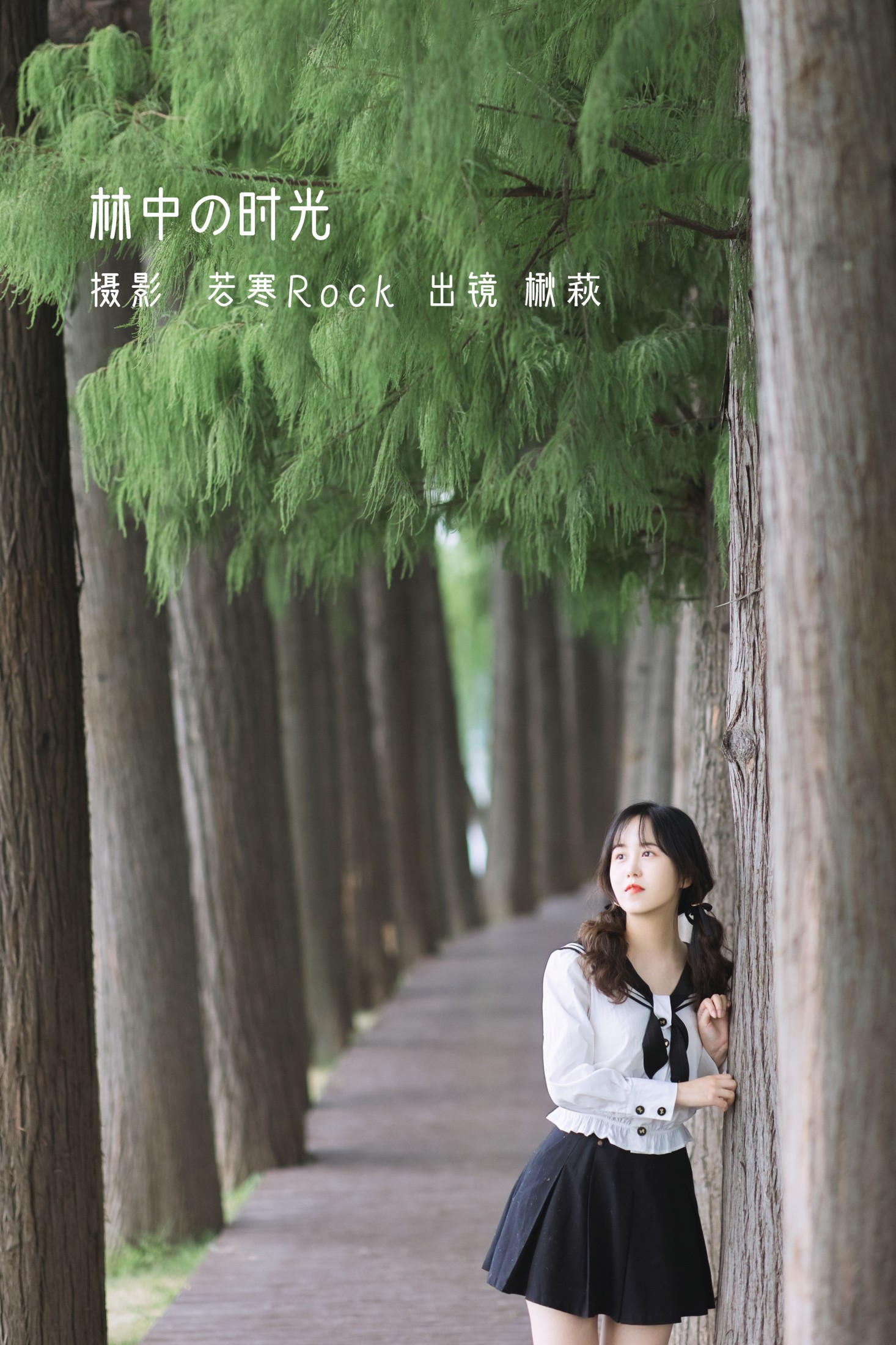 林中の时光