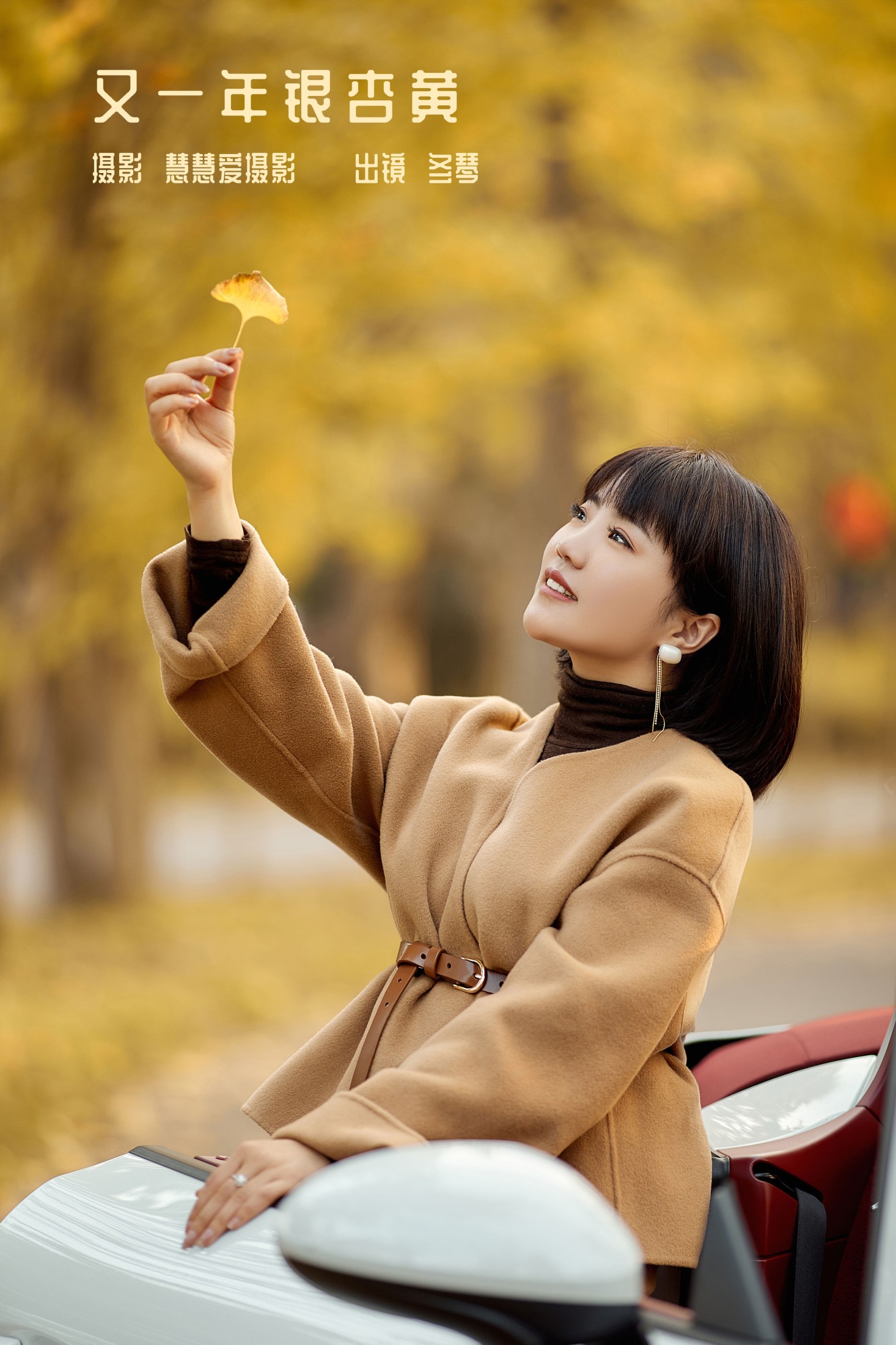 又一年银杏黄