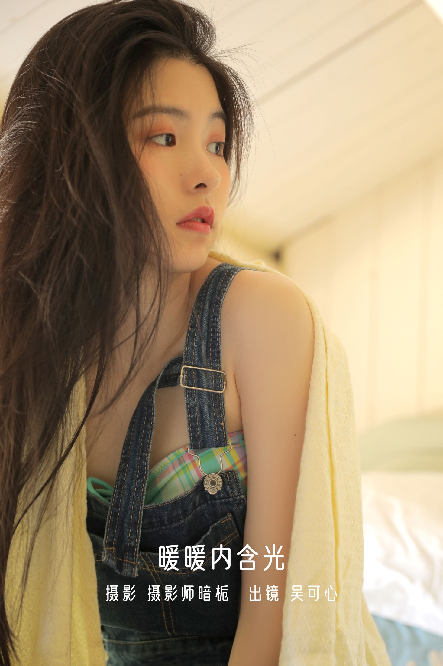 暖暖内含光