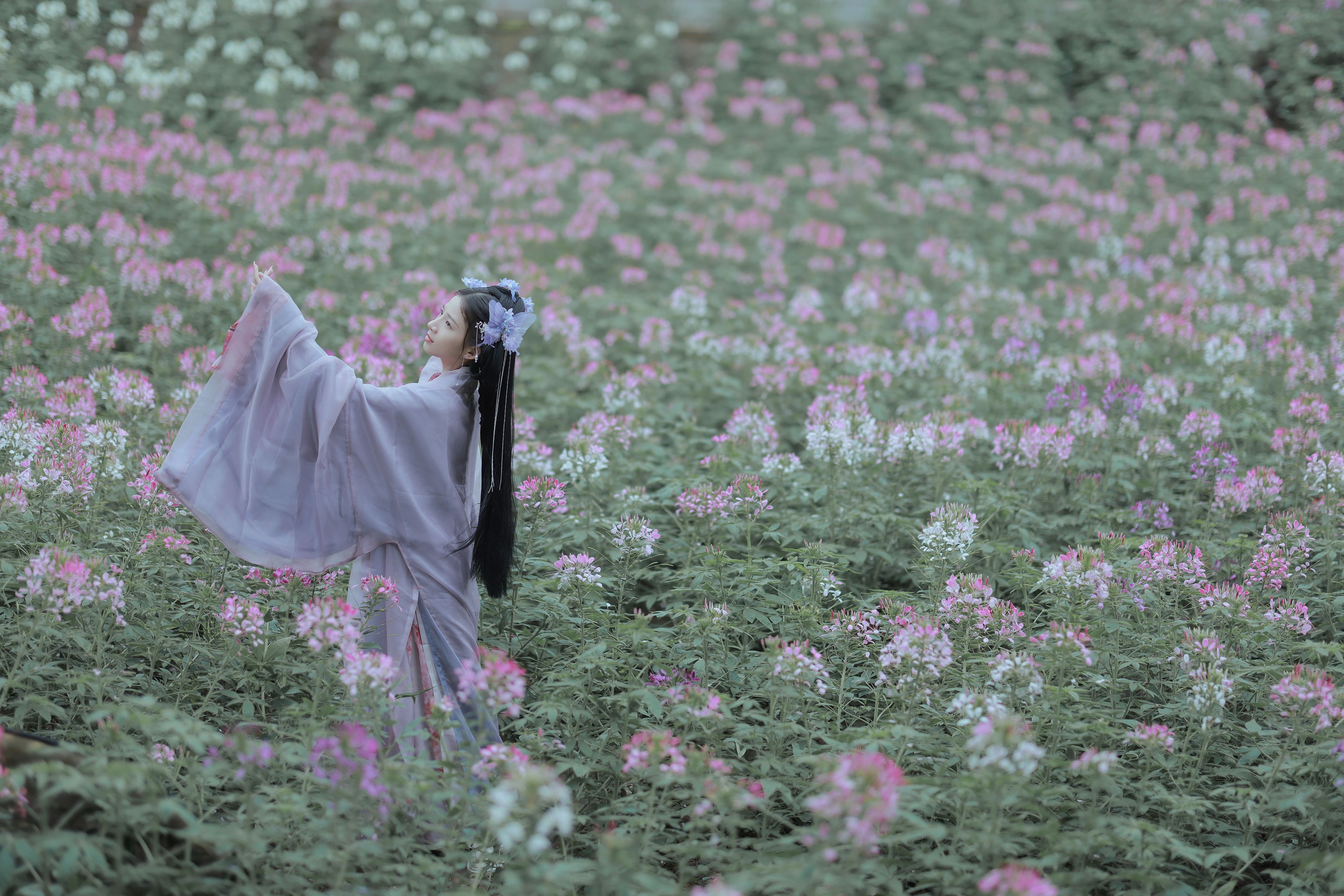 卷卷 – 《春日》[22P]