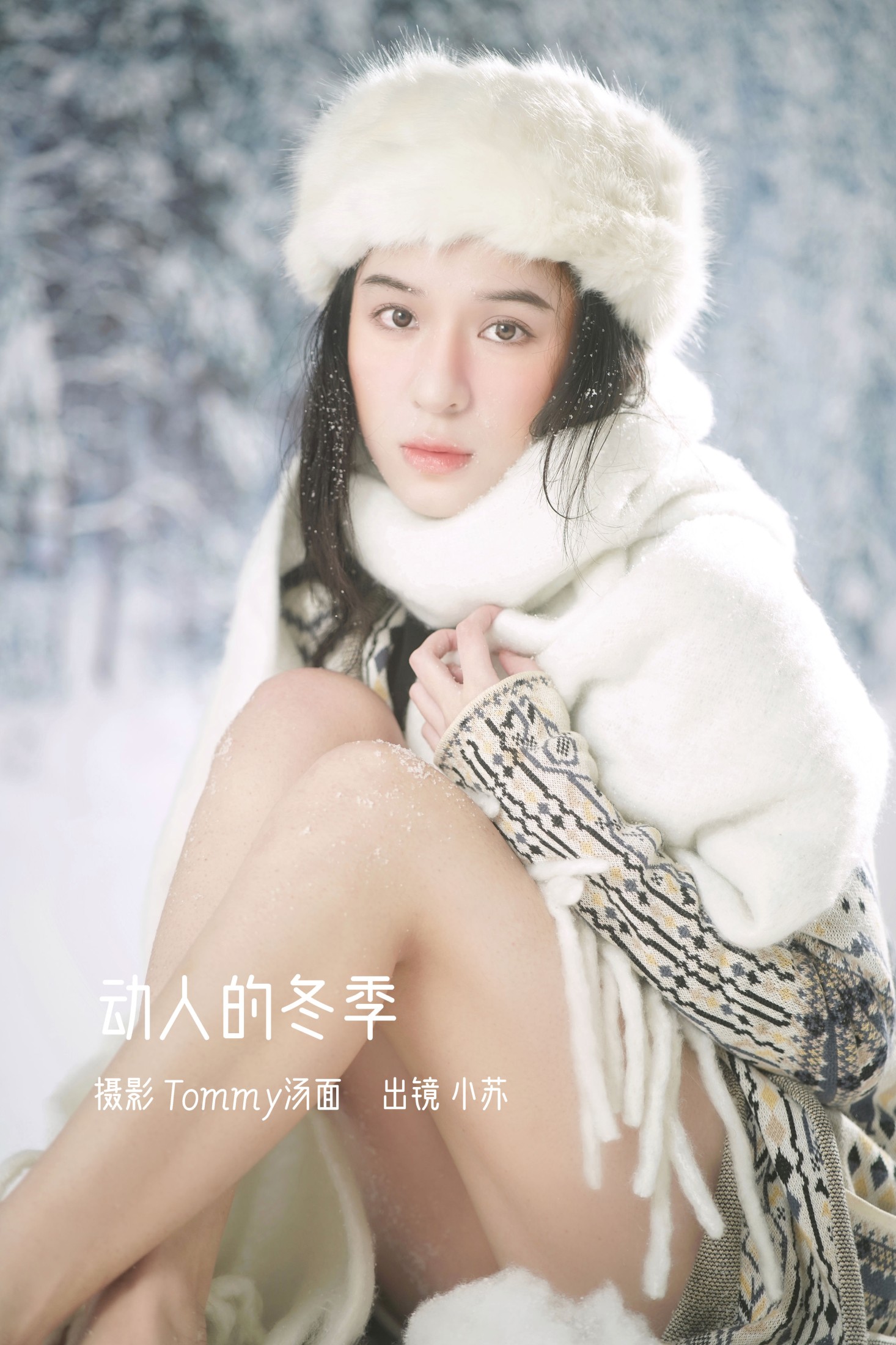 动人的冬季