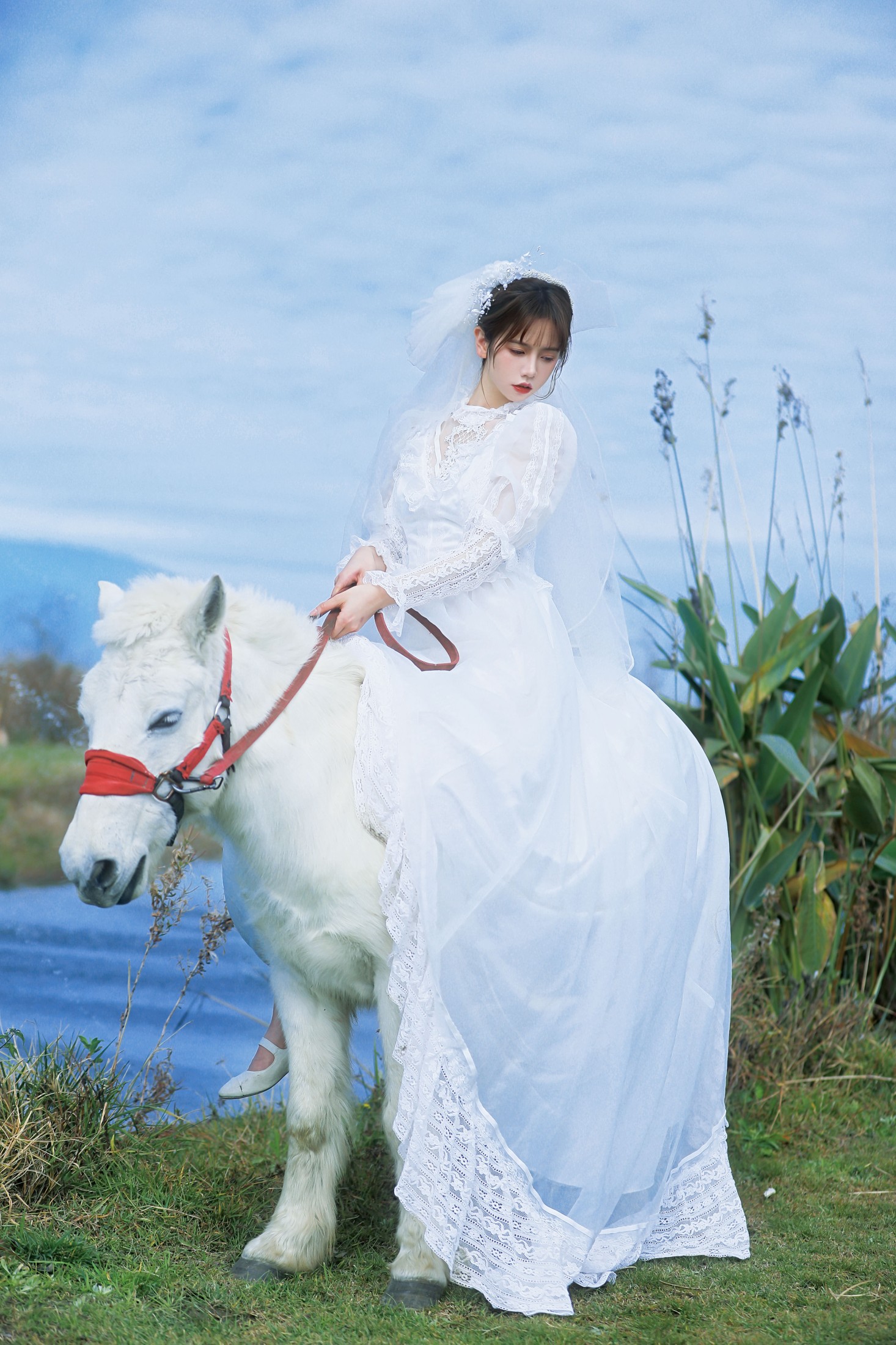 林木婷子 – 《桑桑，我带你回家。》[23P]