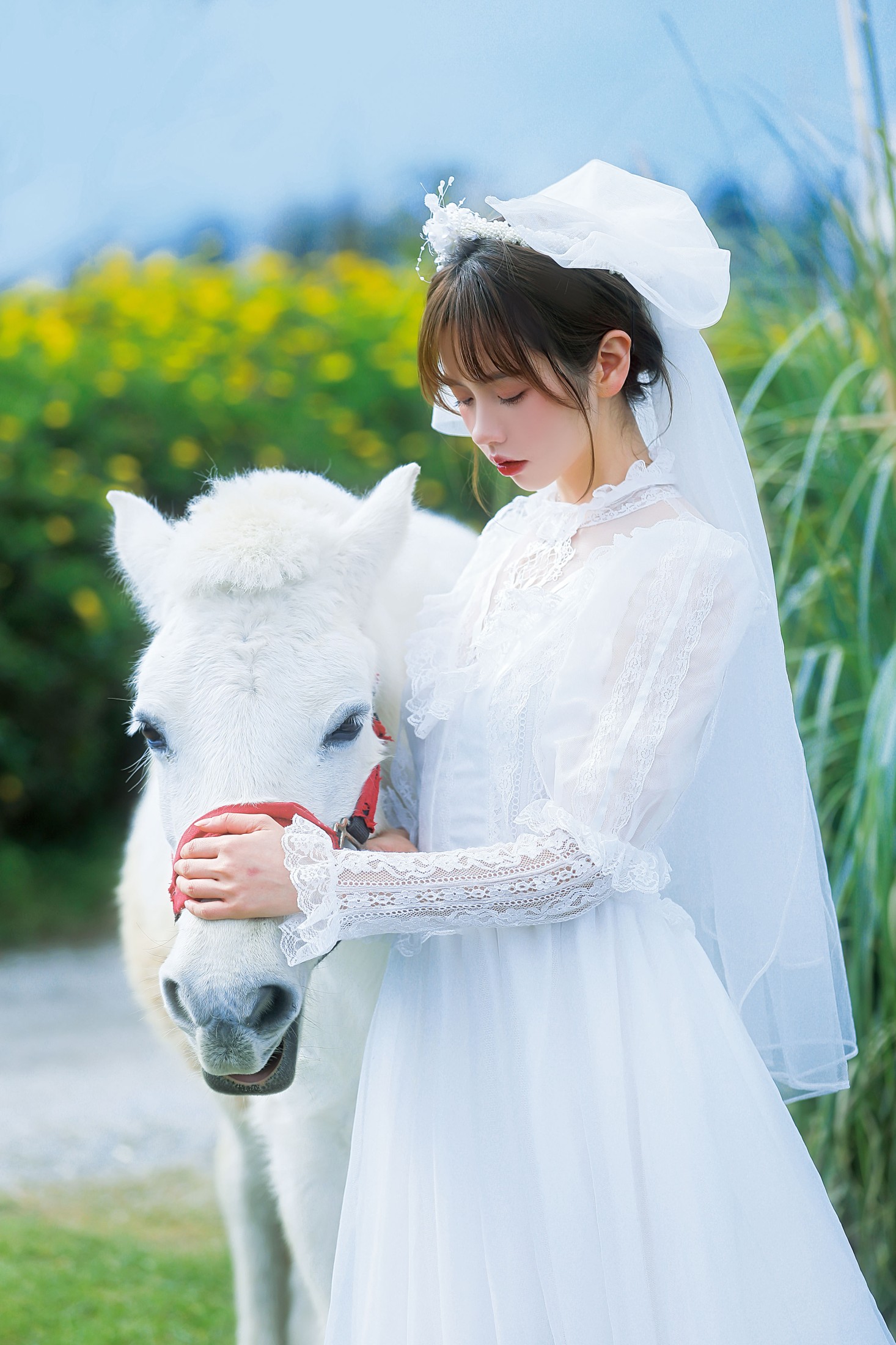 林木婷子 – 《桑桑，我带你回家。》[23P]