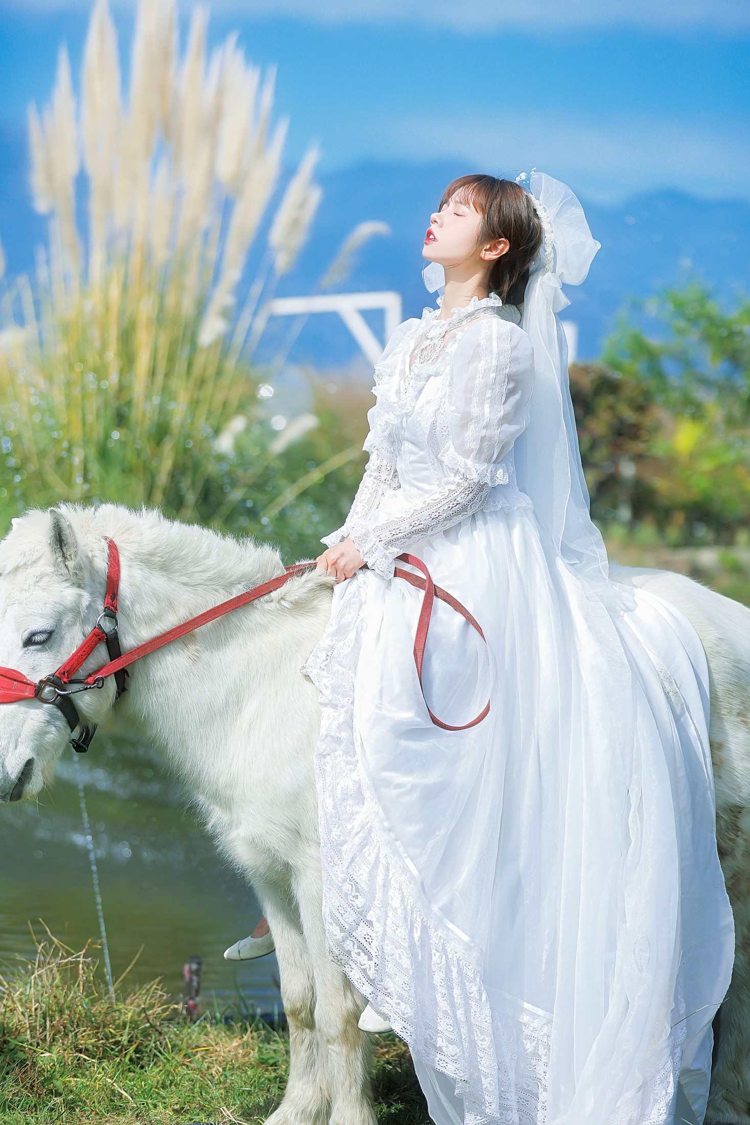 林木婷子 – 《桑桑，我带你回家。》[23P]