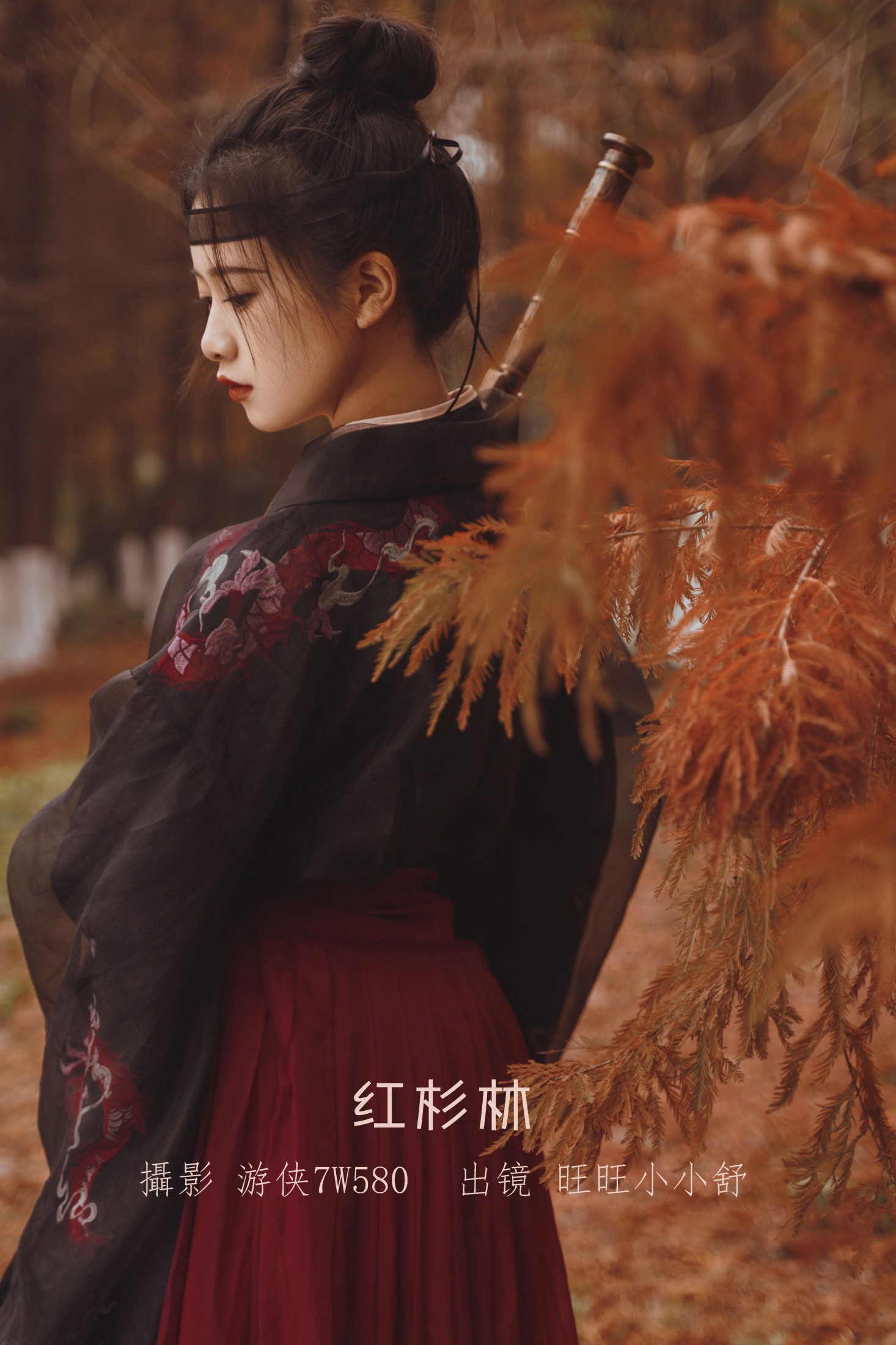 红杉林